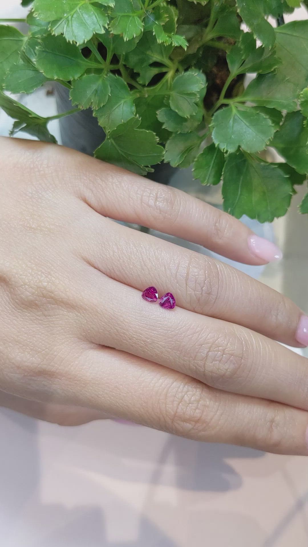 0.91&nbsp;Ct.Tw.Total Carat Weight Pink Sapphire Pair from Madagascar Size Video