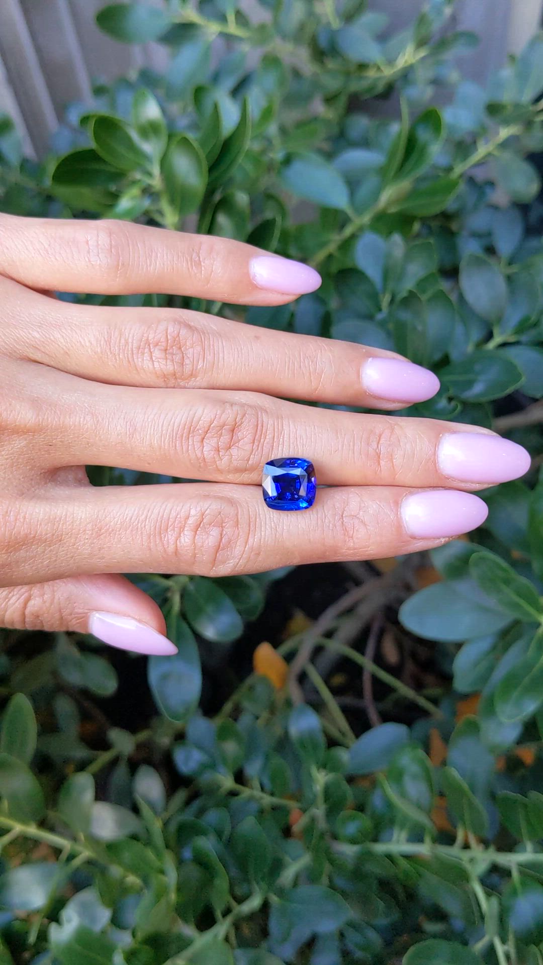 5.56 Ct. Blue Sapphire from Ceylon (Sri Lanka) Size Video