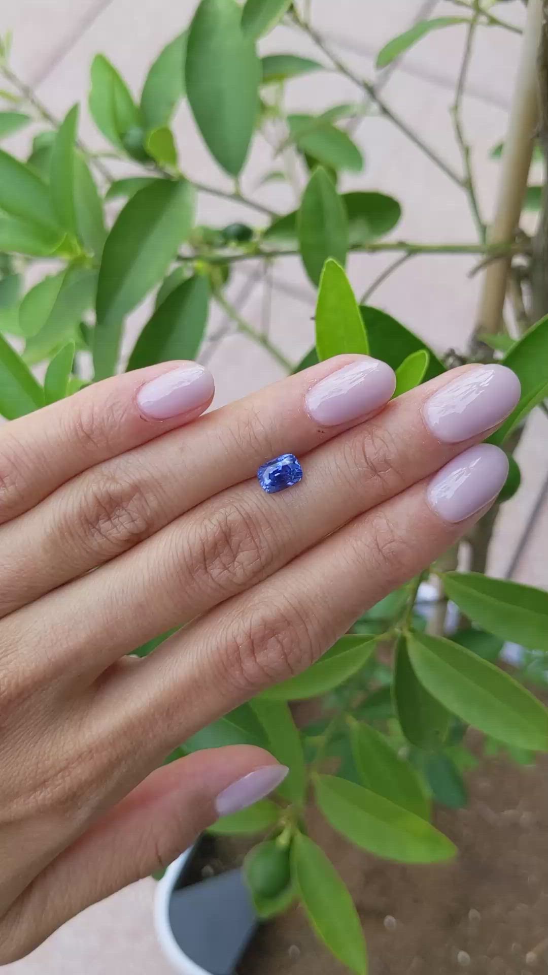 1.64 Ct. Blue Sapphire from Ceylon (Sri Lanka) Size Video
