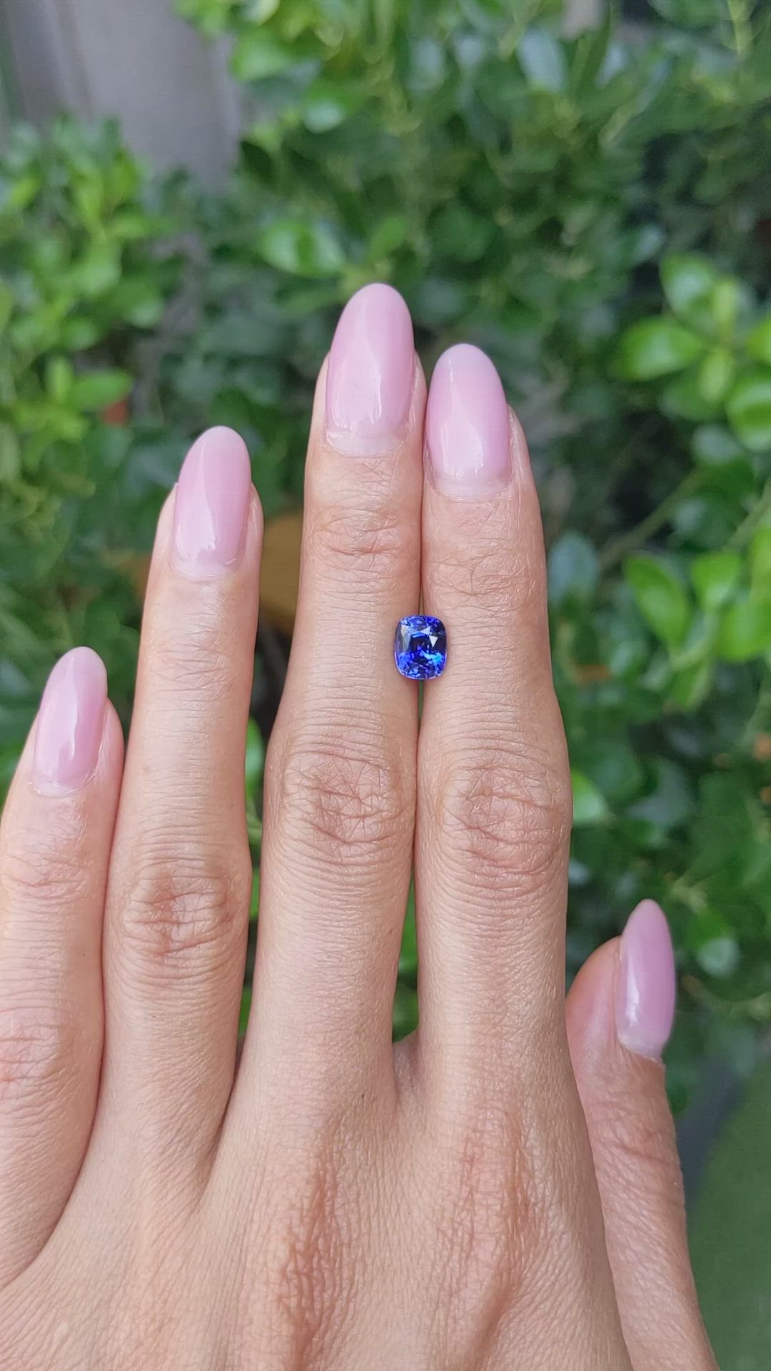 1.66 Ct. Blue Sapphire from Ceylon (Sri Lanka) Size Video