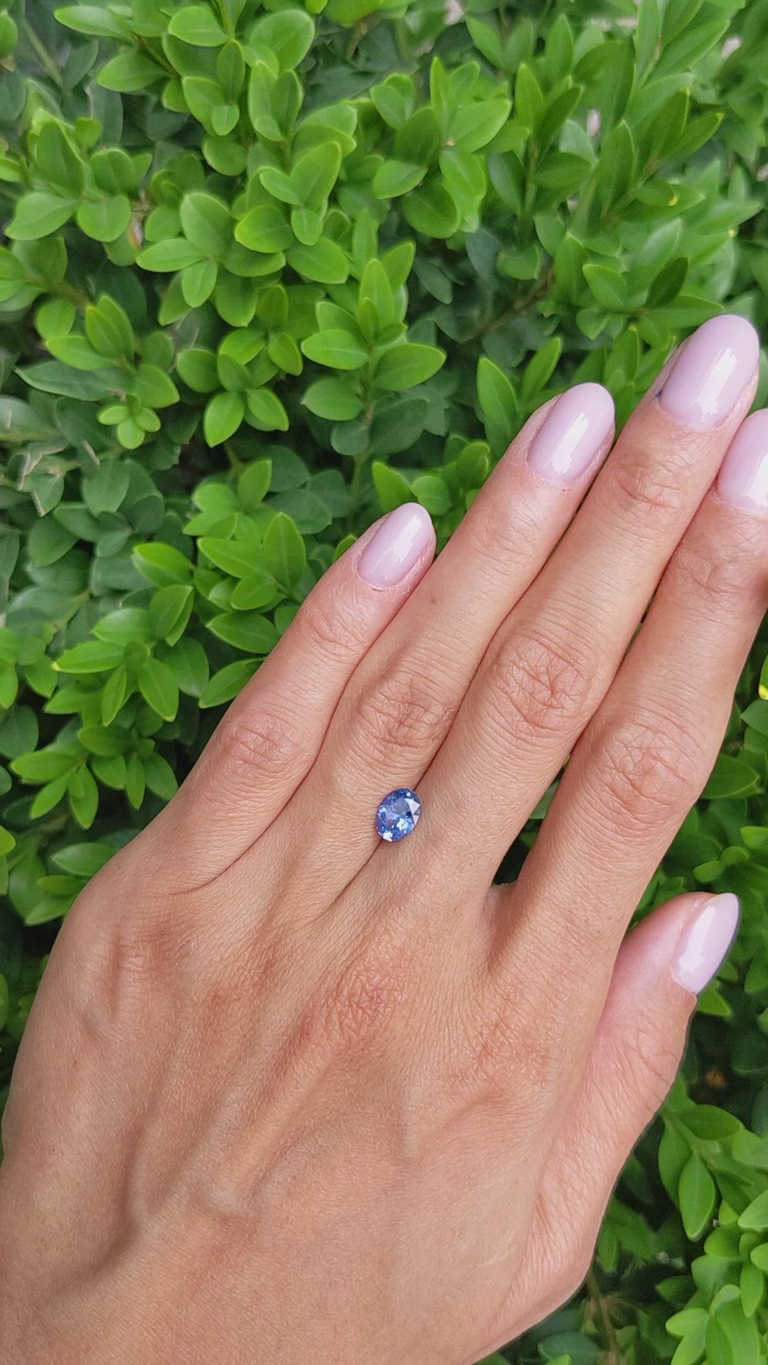 1.13 Ct. Blue Sapphire from Ceylon (Sri Lanka) Size Video