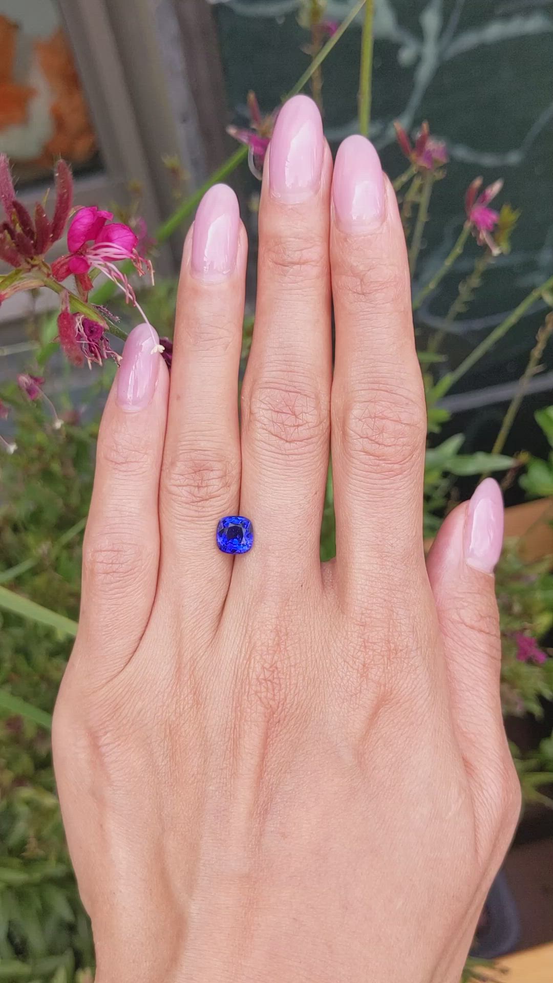 2.07 Ct. Blue Sapphire from Ceylon (Sri Lanka) Size Video