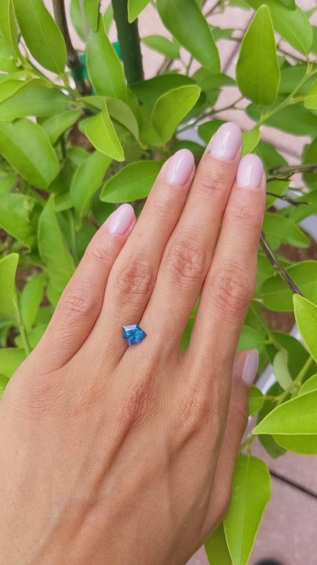 1.84 Ct. Blue Sapphire from Ceylon (Sri Lanka) Size Video