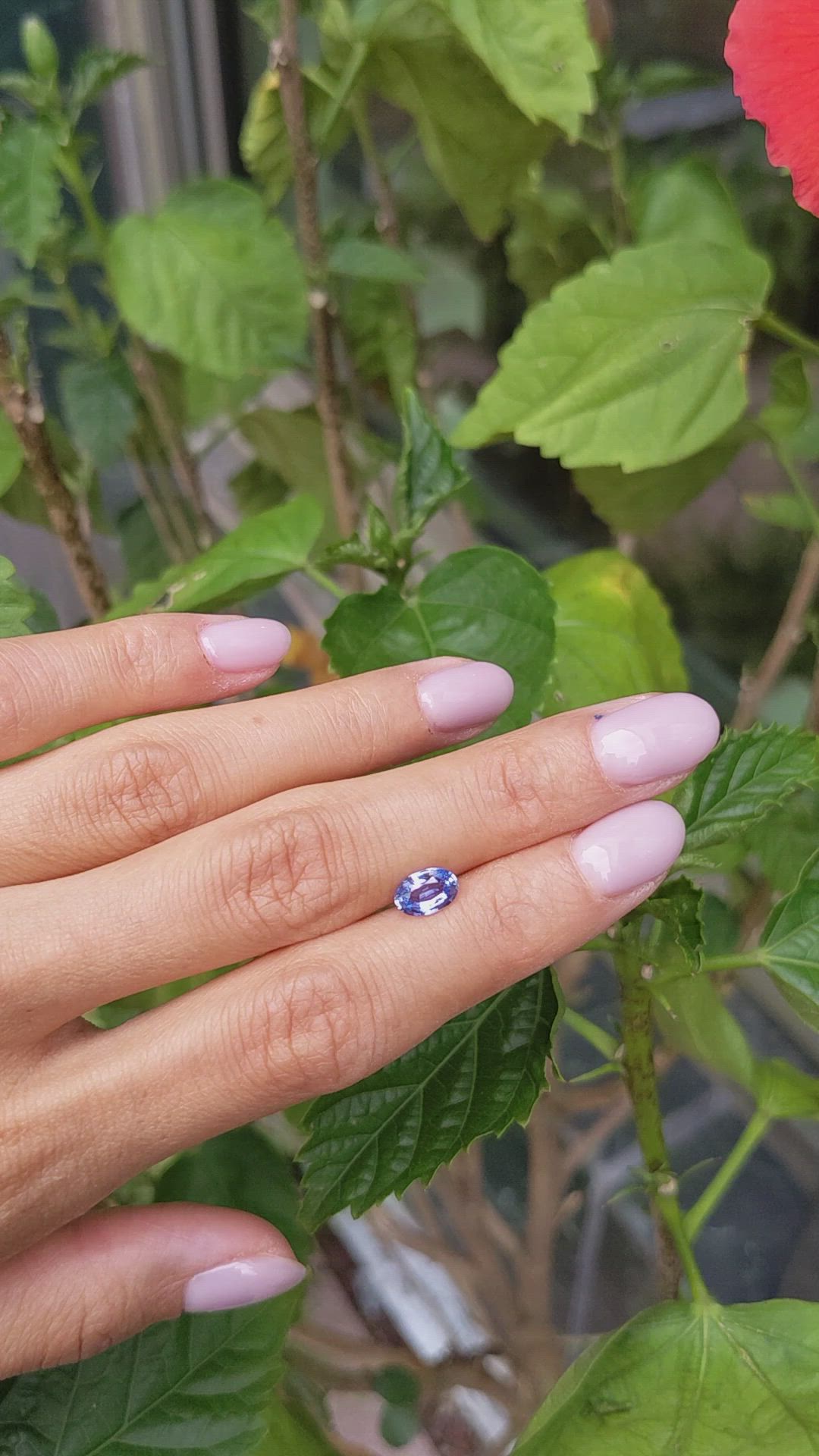 1.10 Ct. Blue Sapphire from Ceylon (Sri Lanka) Size Video