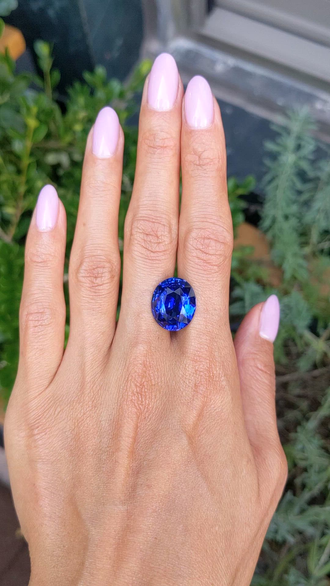 15.67 Ct. Blue Sapphire from Ceylon (Sri Lanka) Size Video