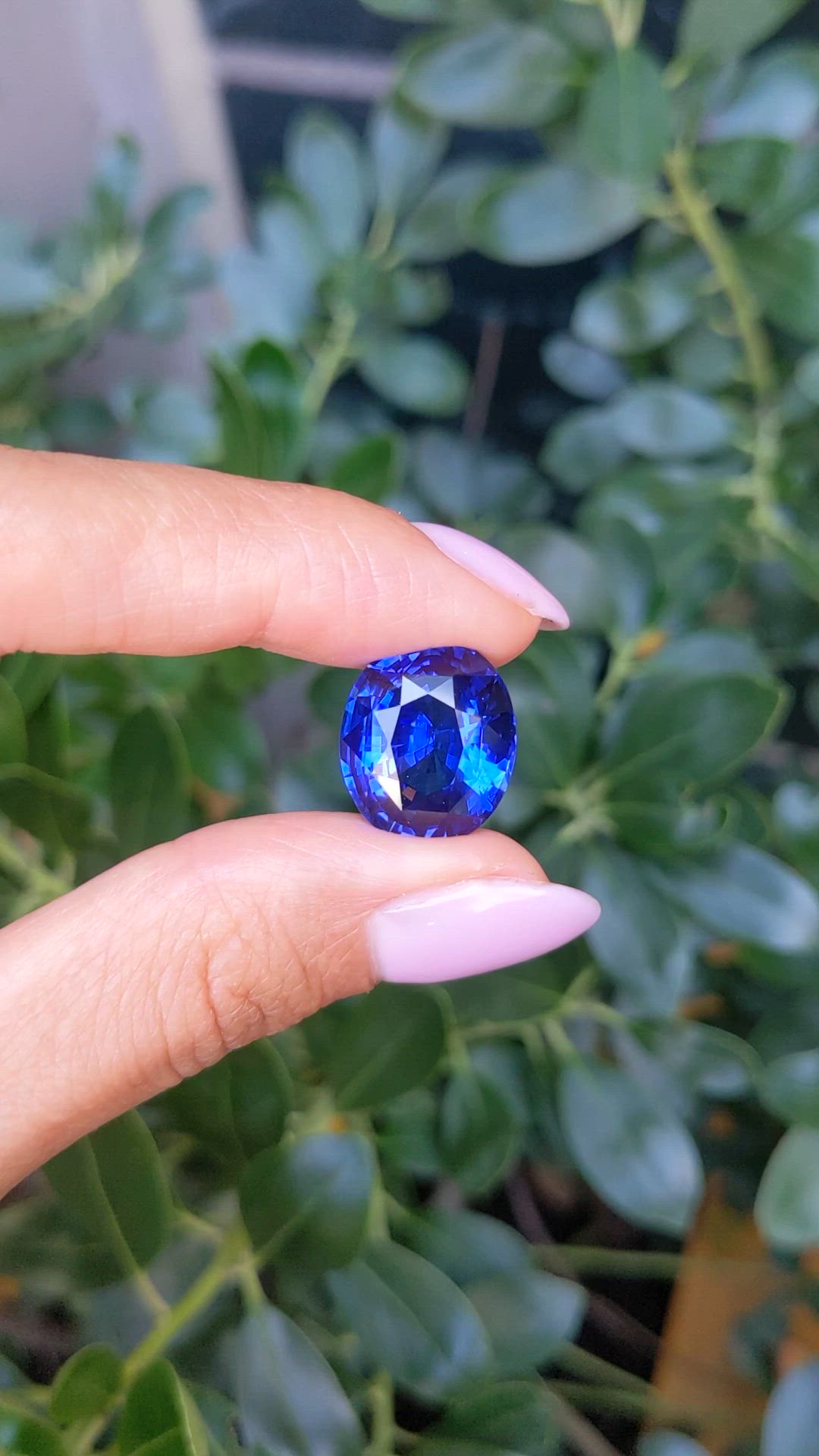 15.67 Ct. Blue Sapphire from Ceylon (Sri Lanka) Size Video