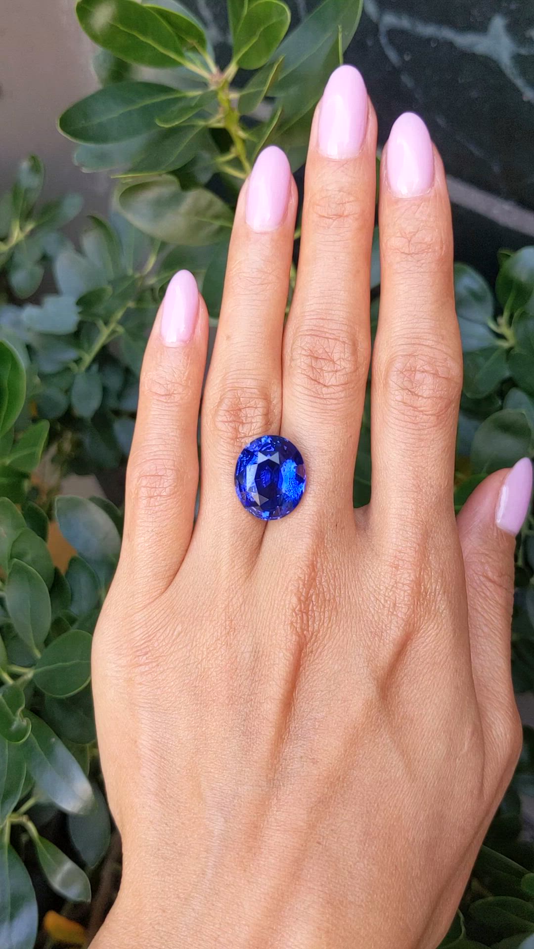 15.67 Ct. Blue Sapphire from Ceylon (Sri Lanka) Size Video