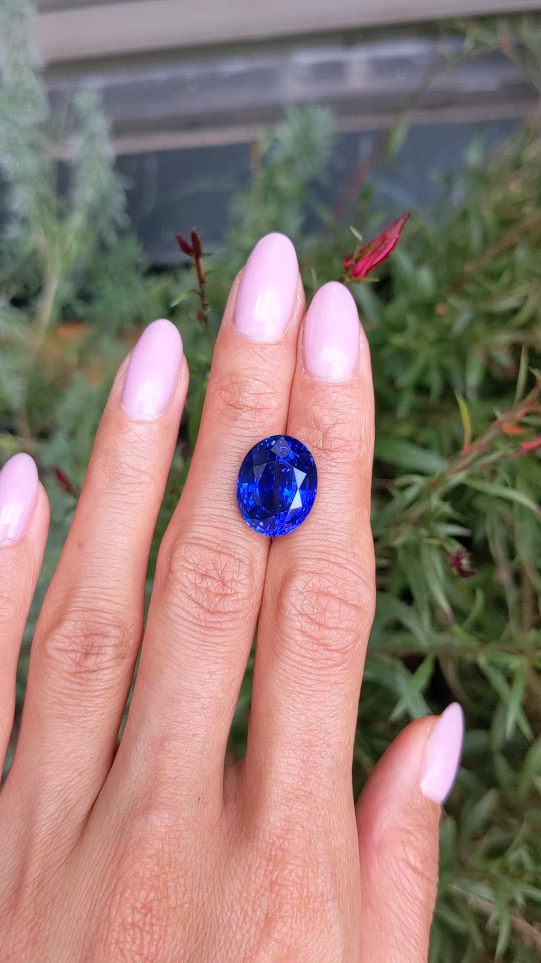 13.50 Ct. Blue Sapphire from Ceylon (Sri Lanka) Size Video