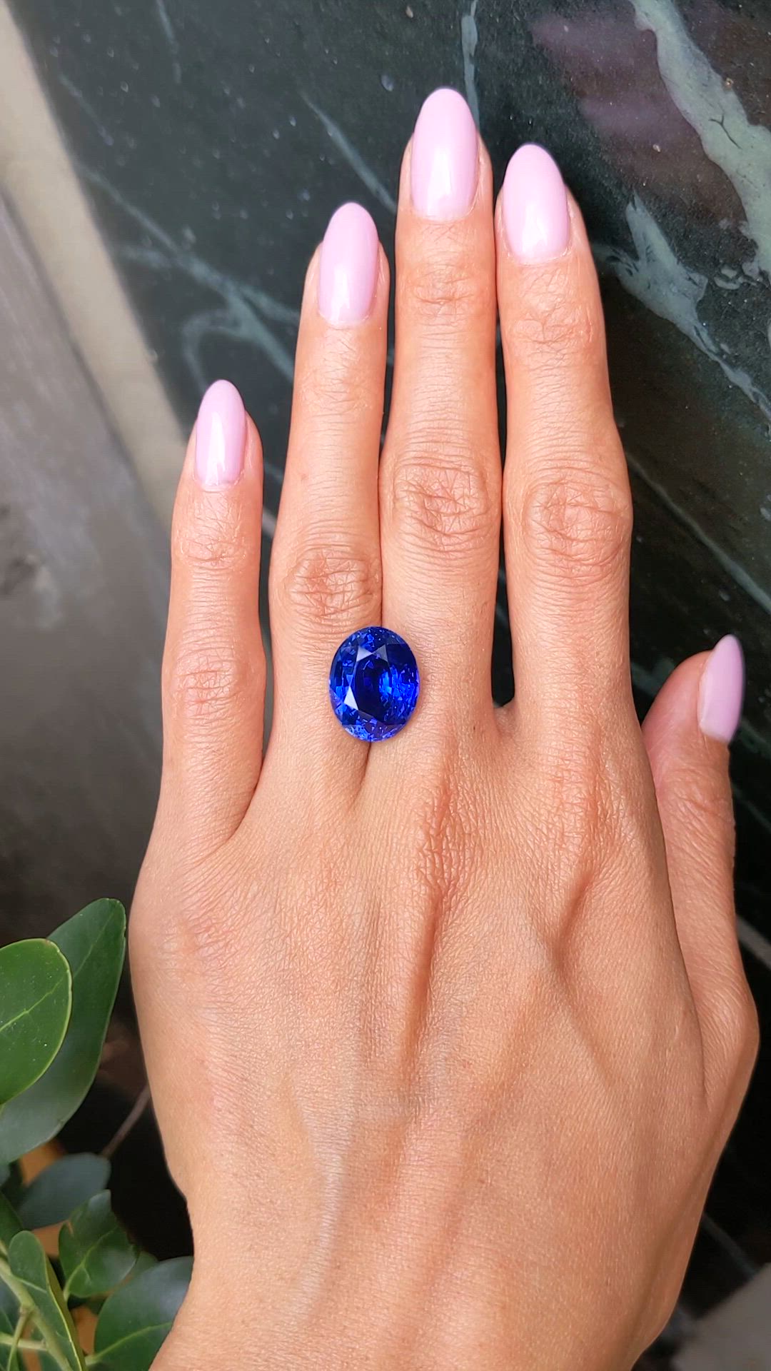 13.50 Ct. Blue Sapphire from Ceylon (Sri Lanka) Size Video