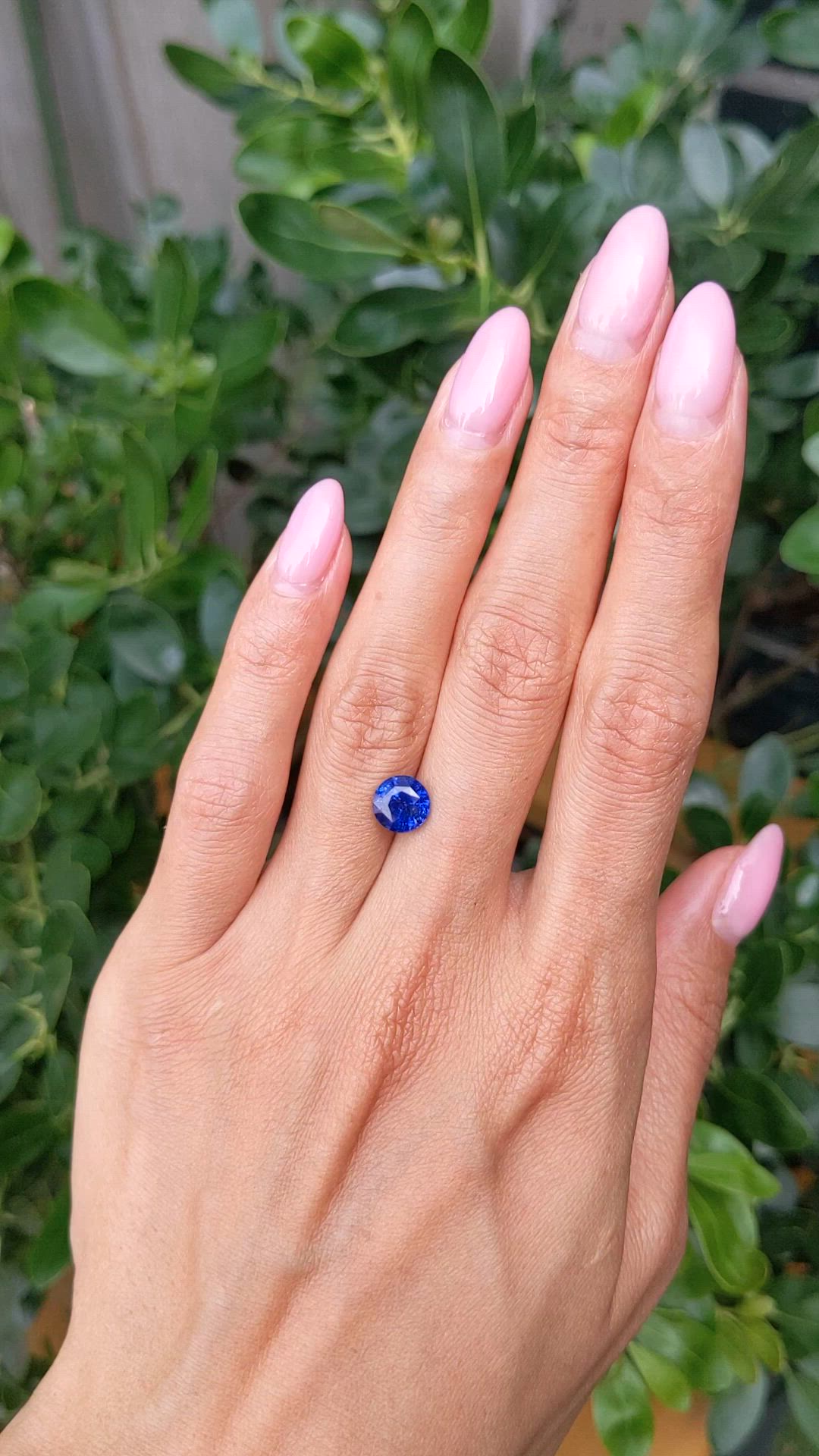 2.38 Ct. Blue Sapphire from Ceylon (Sri Lanka) Size Video