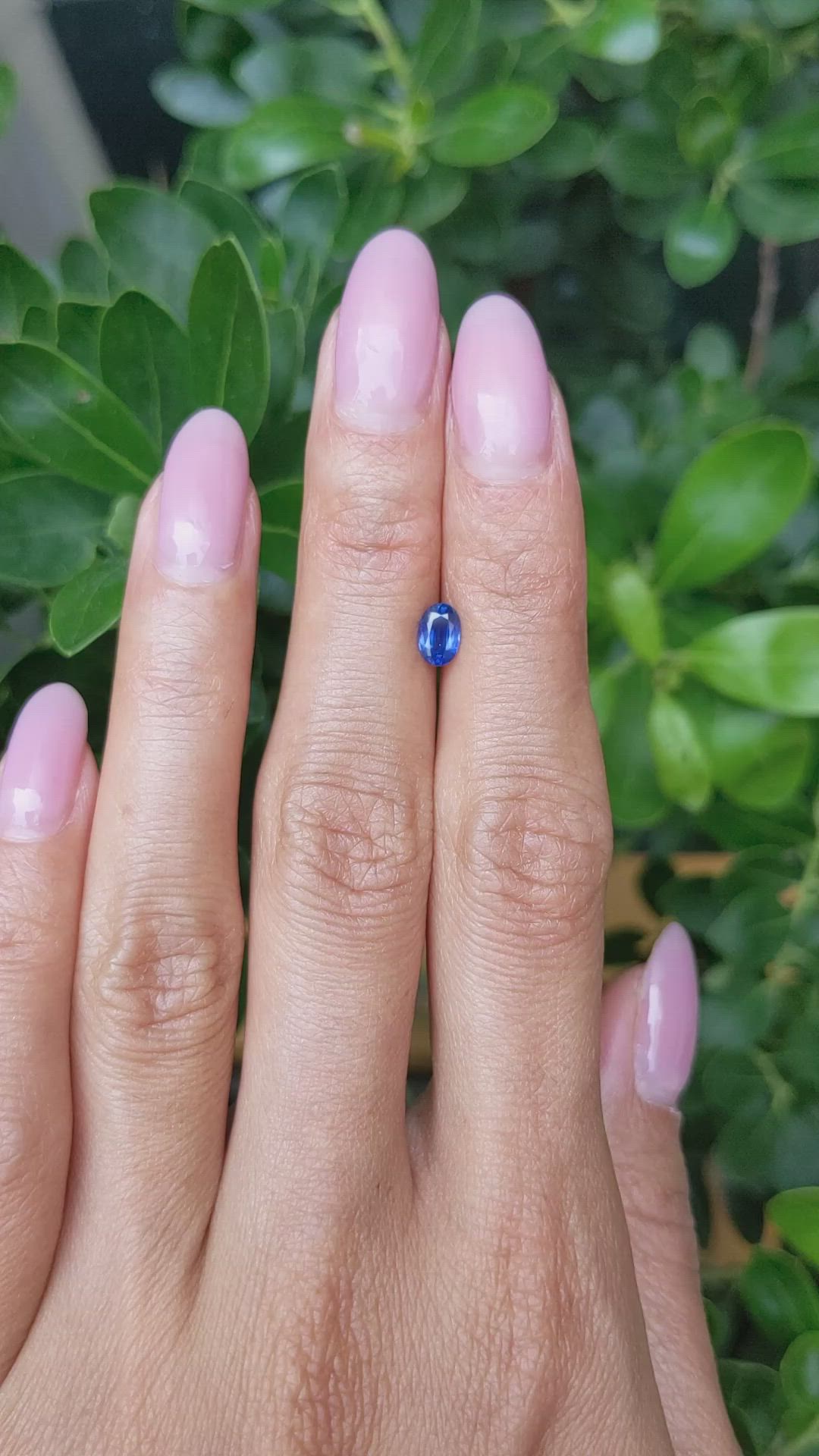 0.61 Ct. Blue Sapphire from Thailand Size Video