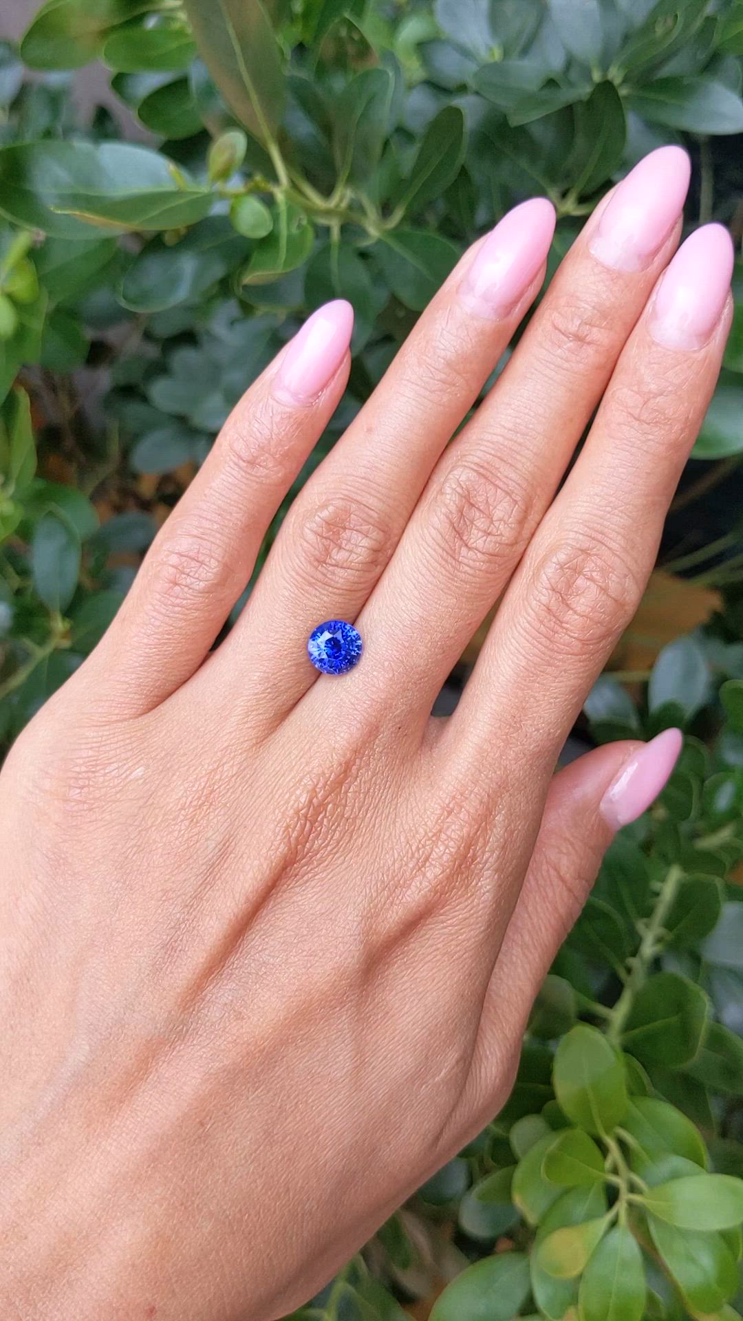 2.66 Ct. Blue Sapphire from Ceylon (Sri Lanka) Size Video