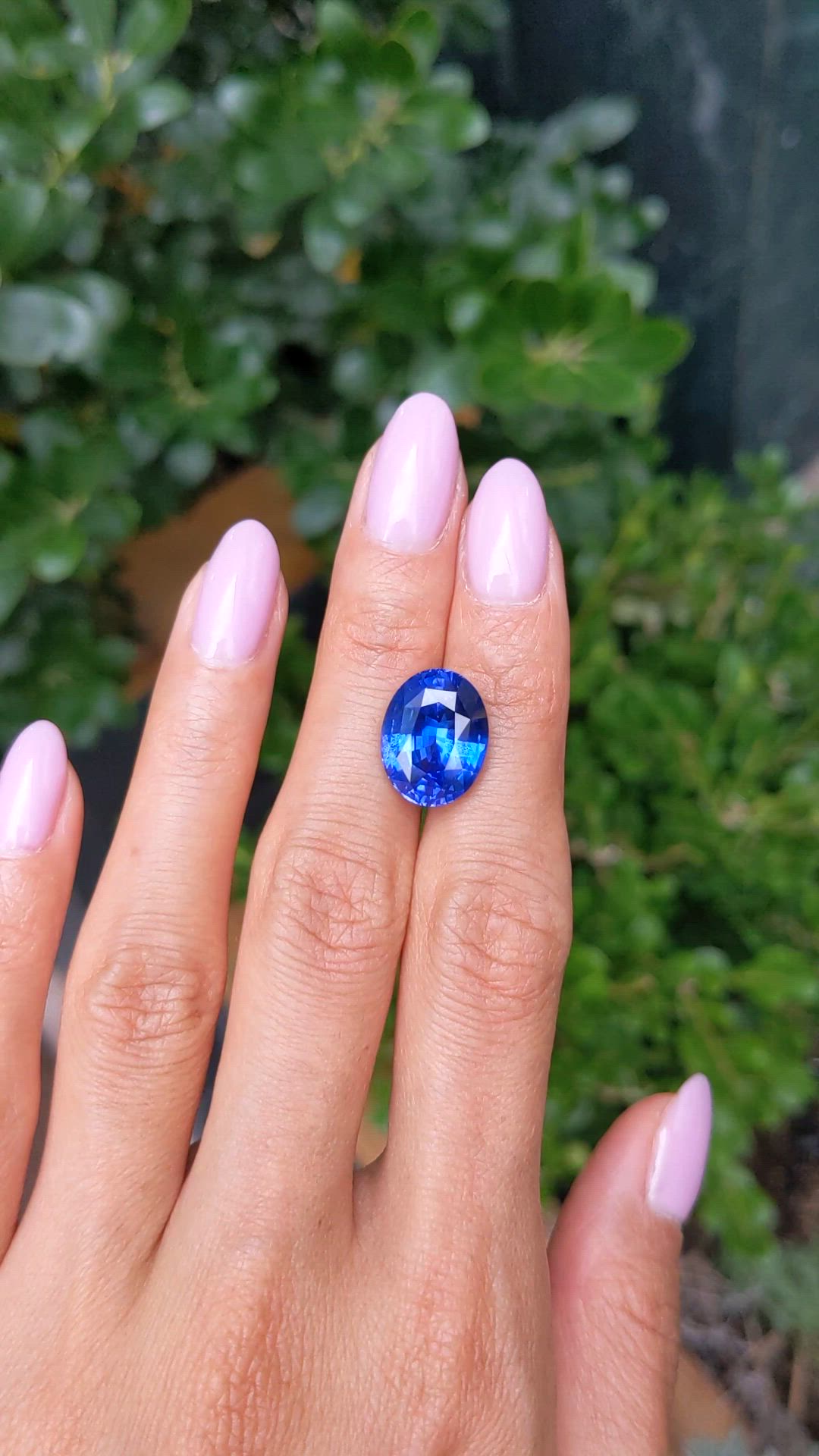 10.49 Ct. Blue Sapphire from Ceylon (Sri Lanka) Size Video