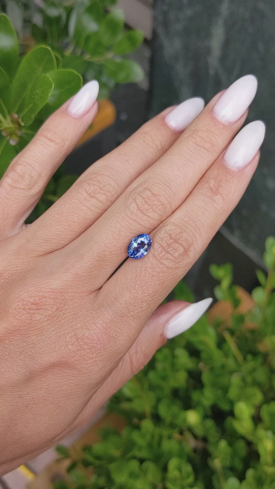 2.55 Ct. Blue Sapphire from Ceylon (Sri Lanka) Size Video