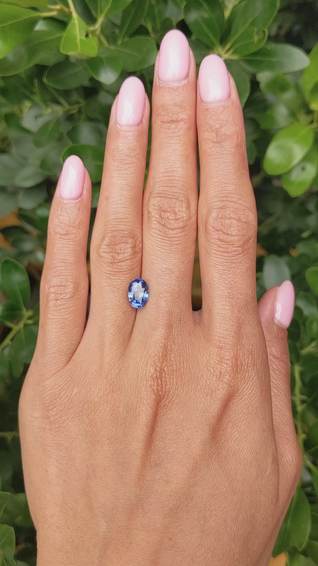 2.55 Ct. Blue Sapphire from Ceylon (Sri Lanka) Size Video