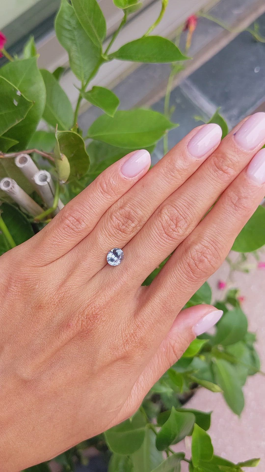 0.60 Ct. Blue Sapphire from Ceylon (Sri Lanka) Size Video