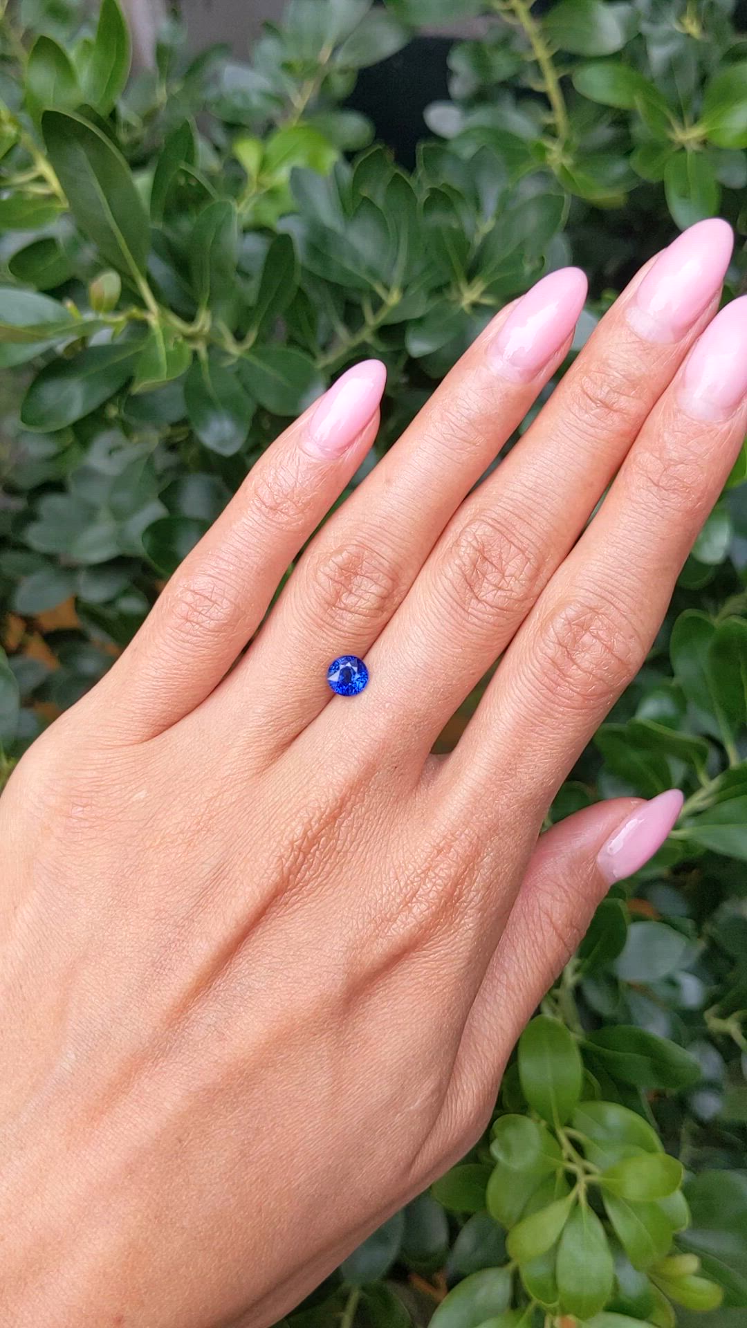1.25 Ct. Blue Sapphire from Ceylon (Sri Lanka) Size Video