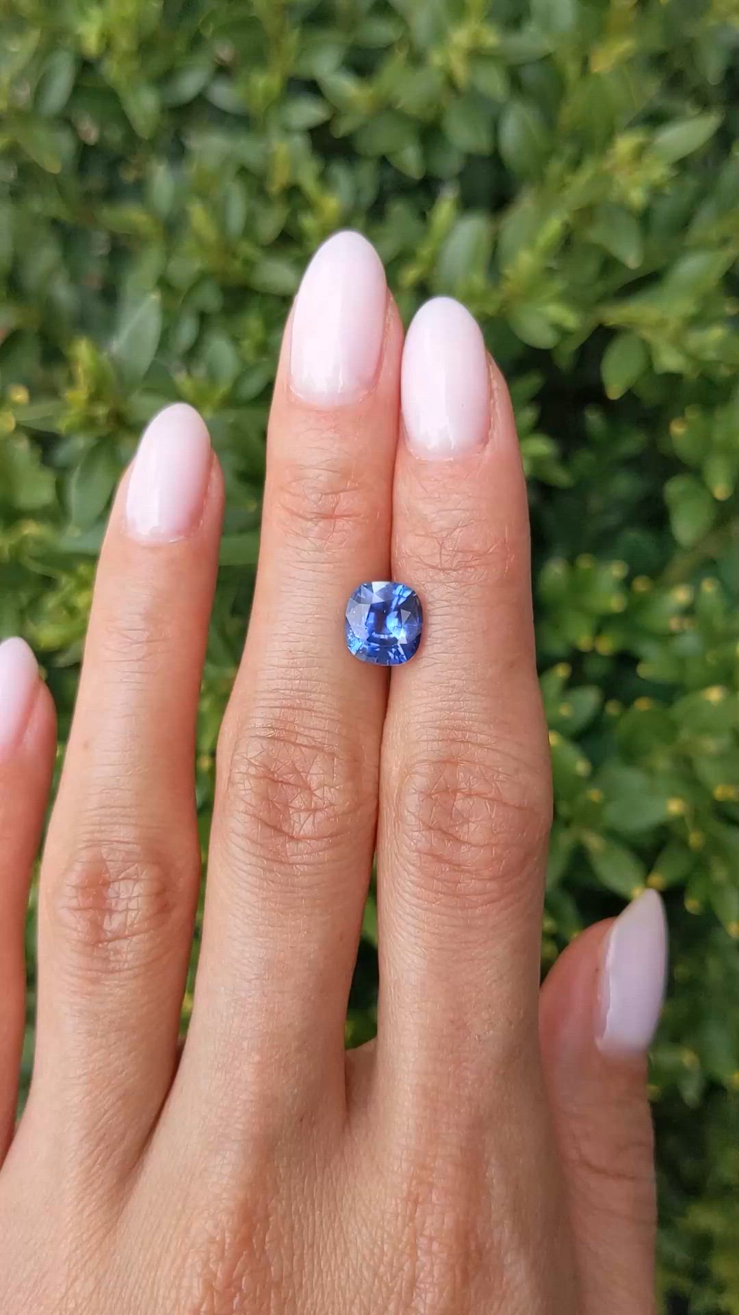 2.66 Ct. Blue Sapphire from Ceylon (Sri Lanka) Size Video