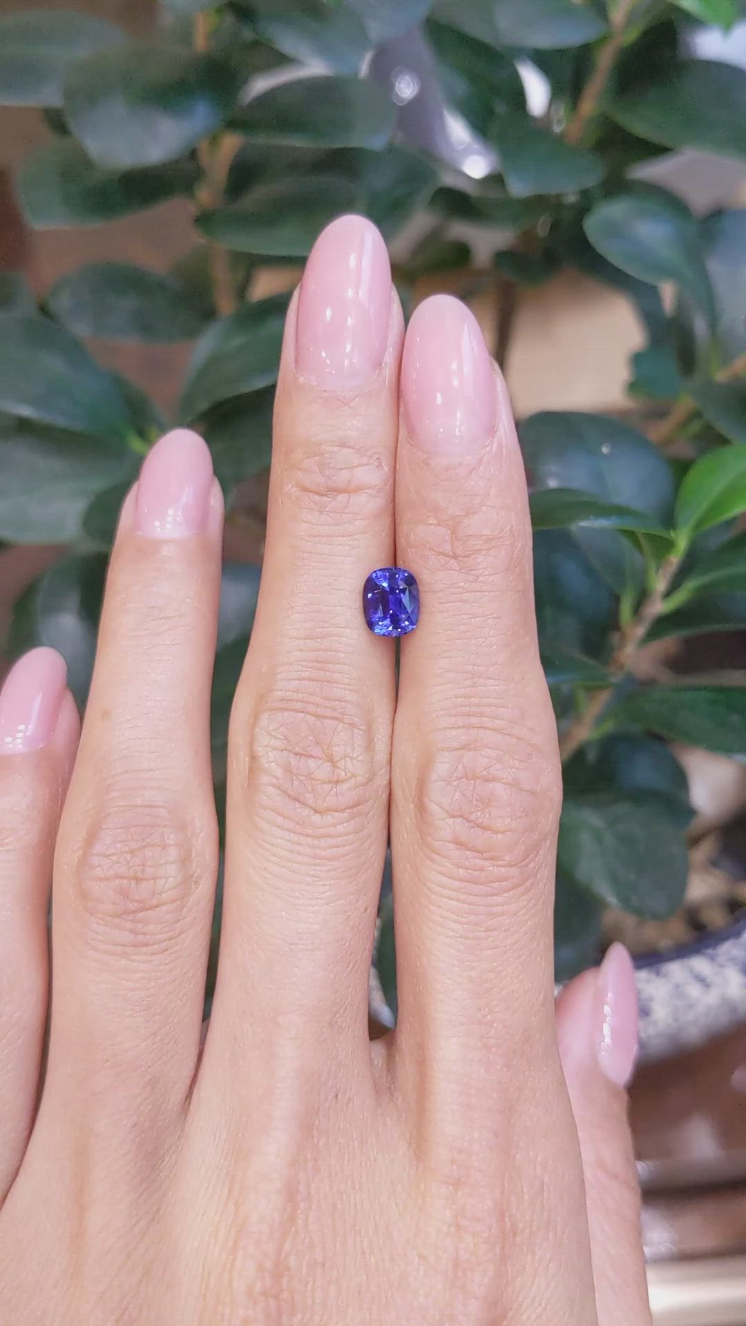 1.40 Ct. Blue Sapphire from Ceylon (Sri Lanka) Size Video