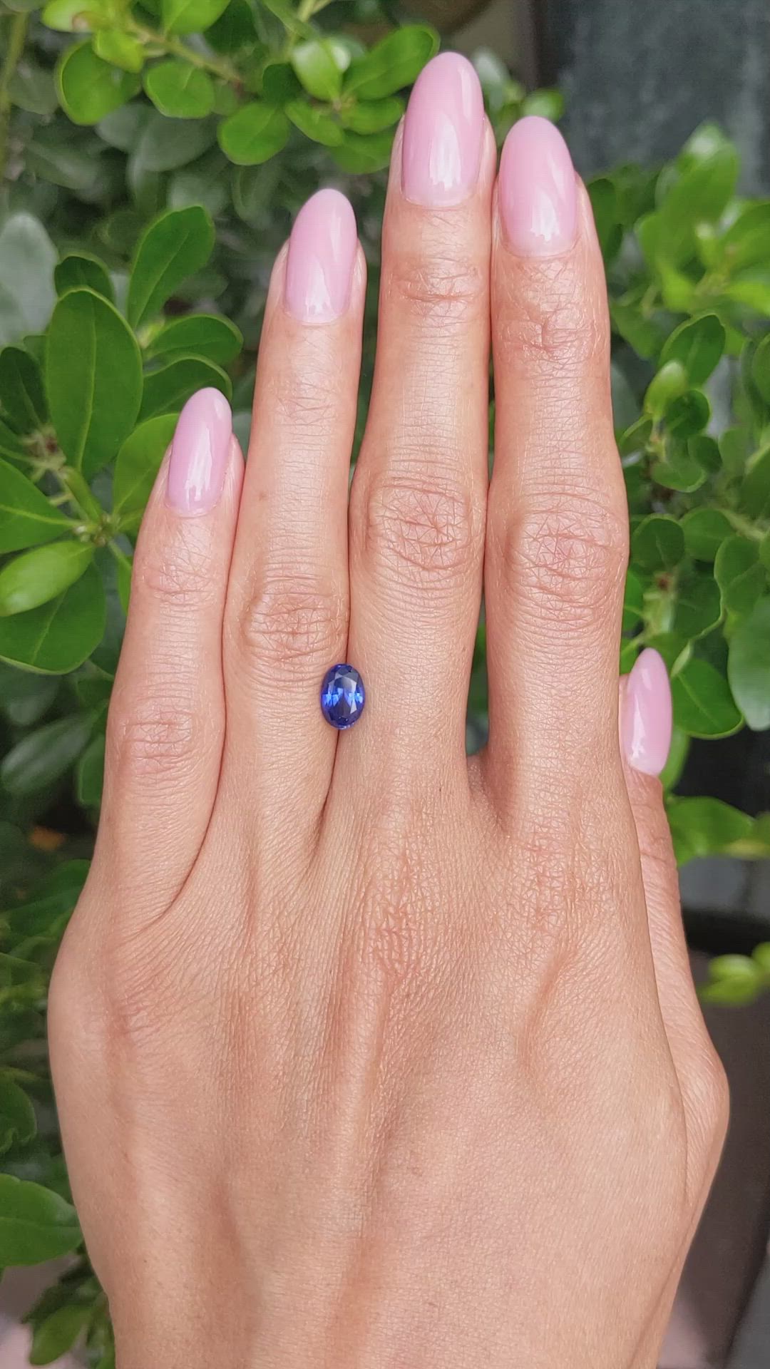 1.35 Ct. Blue Sapphire from Ceylon (Sri Lanka) Size Video