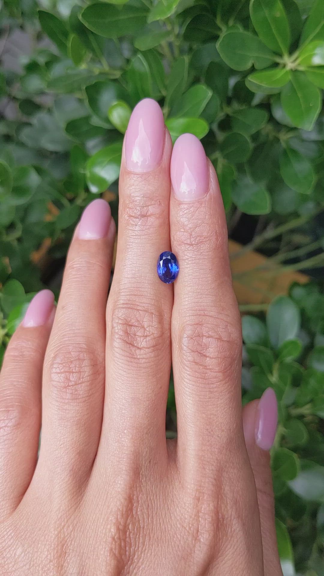 1.35 Ct. Blue Sapphire from Ceylon (Sri Lanka) Size Video