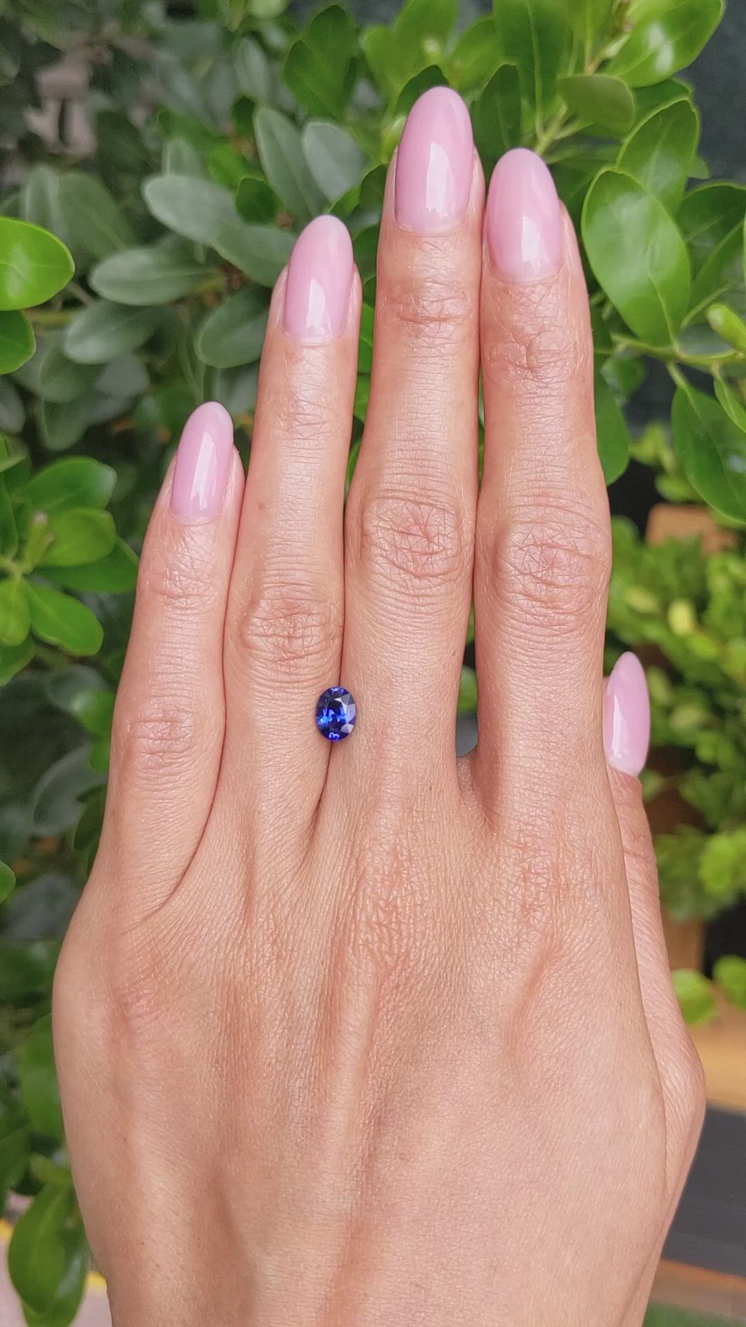 1.17 Ct. Blue Sapphire from Ceylon (Sri Lanka) Size Video
