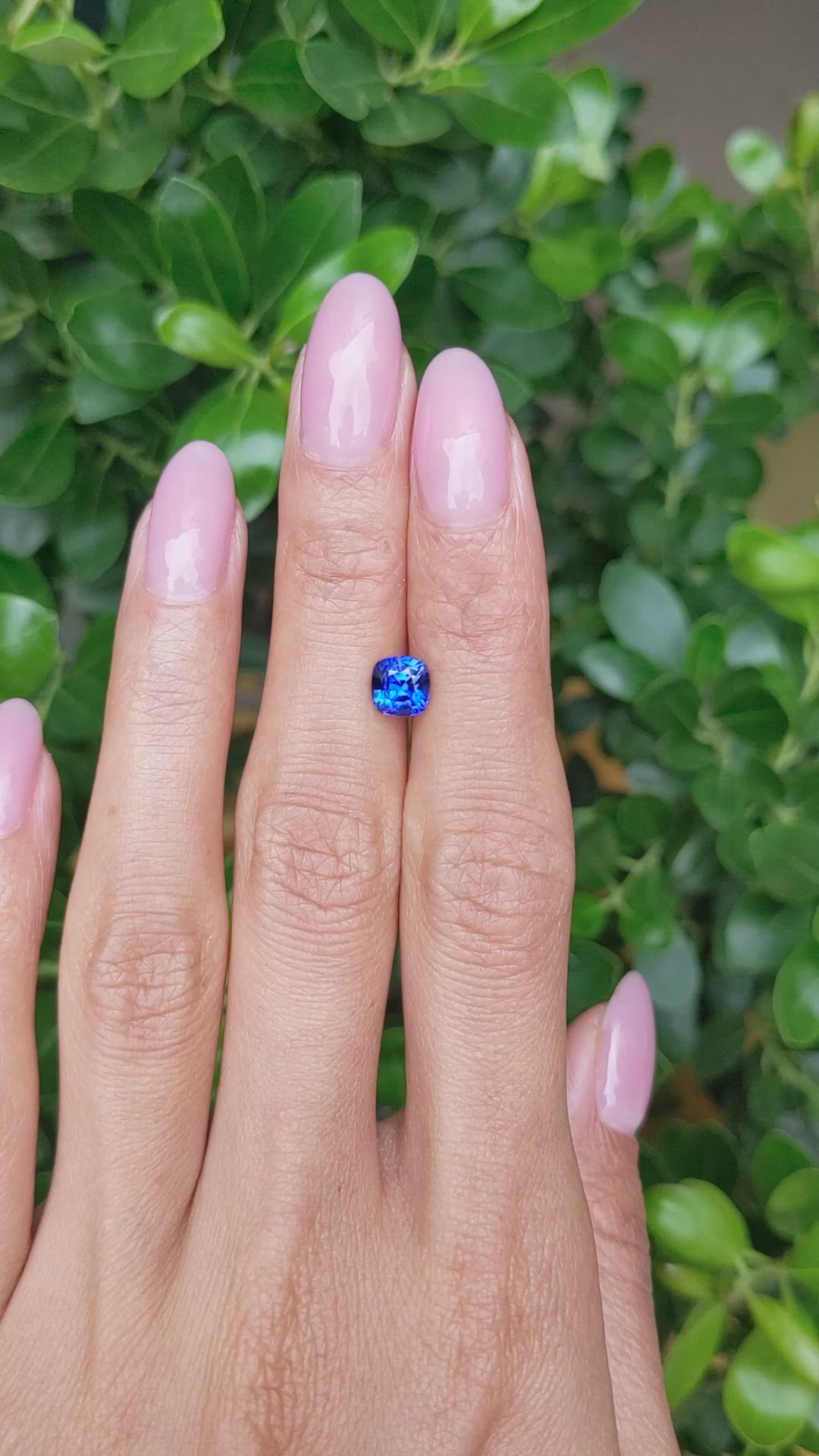 1.33 Ct. Blue Sapphire from Ceylon (Sri Lanka) Size Video
