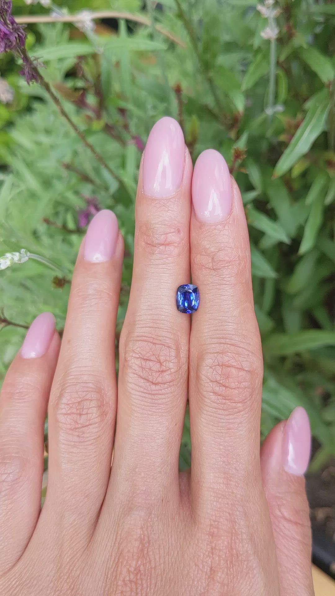 1.27 Ct. Blue Sapphire from Ceylon (Sri Lanka) Size Video