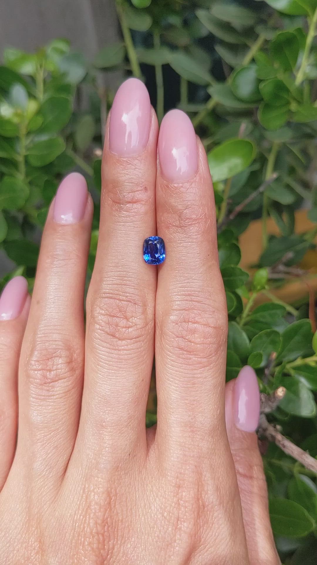 1.33 Ct. Blue Sapphire from Ceylon (Sri Lanka) Size Video
