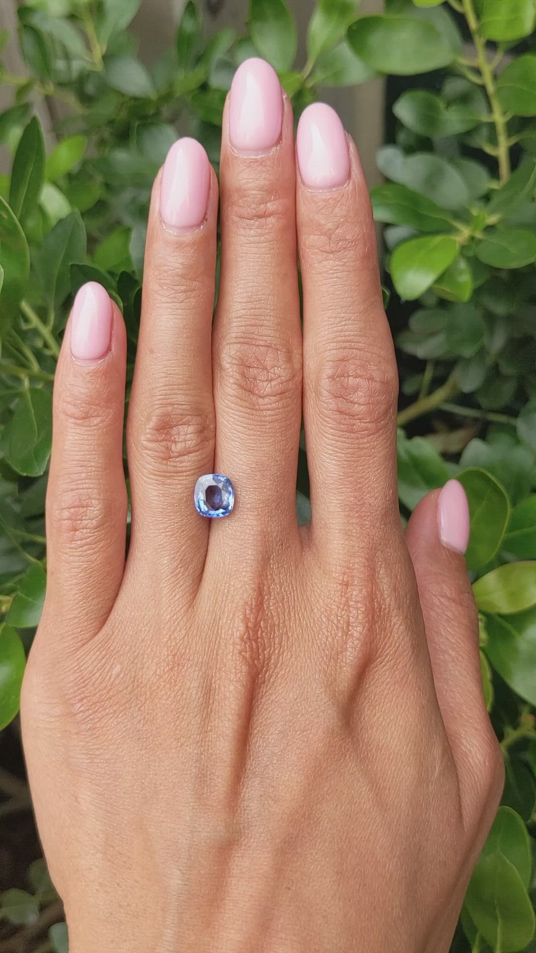 2.20 Ct. Blue Sapphire from Ceylon (Sri Lanka) Size Video