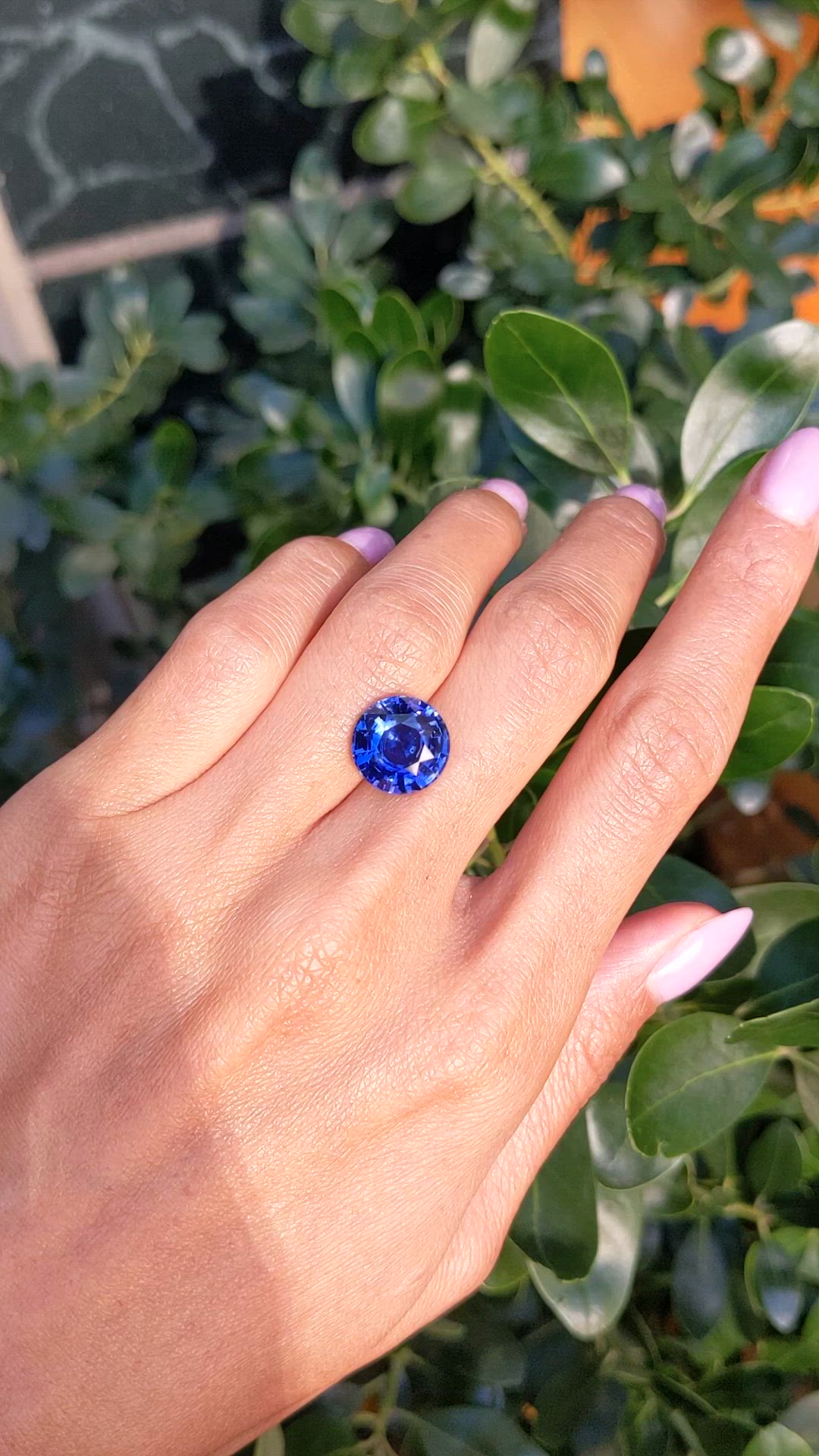 7.58 Ct. Blue Sapphire from Ceylon (Sri Lanka) Size Video