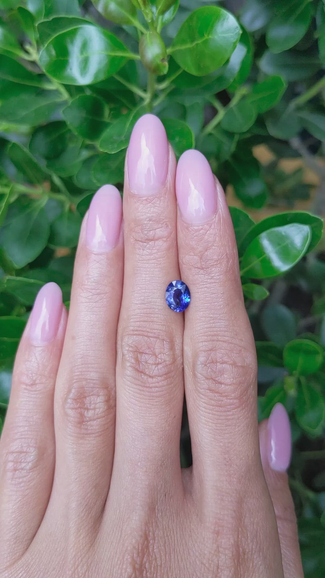1.32 Ct. Blue Sapphire from Ceylon (Sri Lanka) Size Video