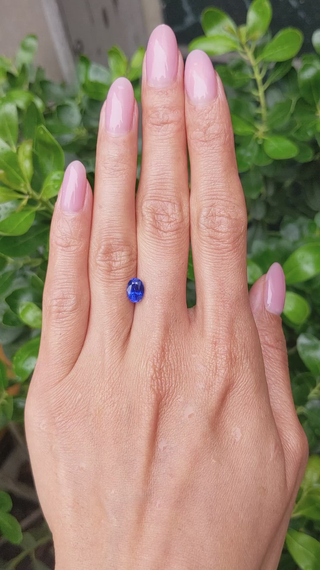 1.34 Ct. Blue Sapphire from Ceylon (Sri Lanka) Size Video