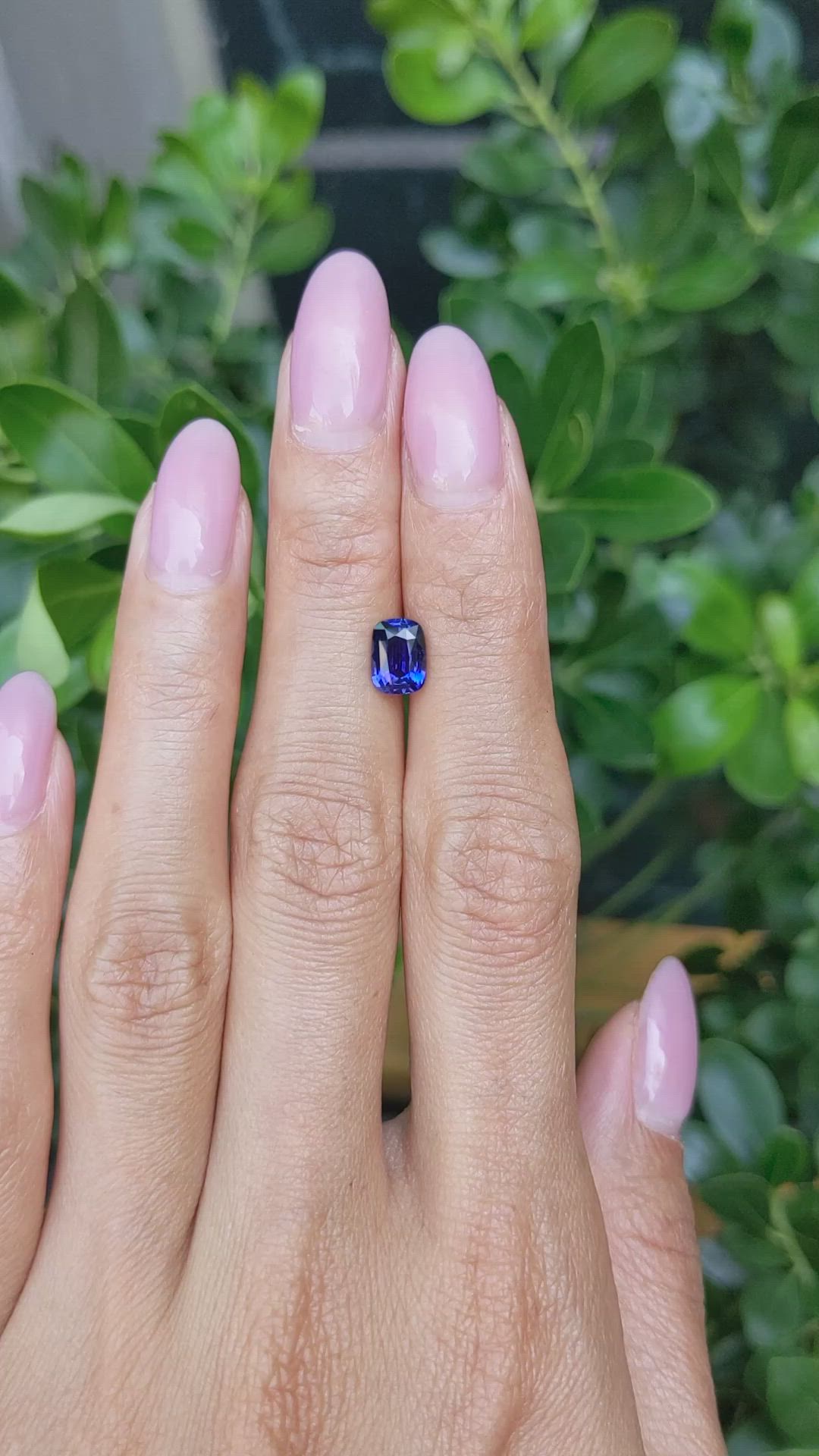 1.57 Ct. Blue Sapphire from Ceylon (Sri Lanka) Size Video