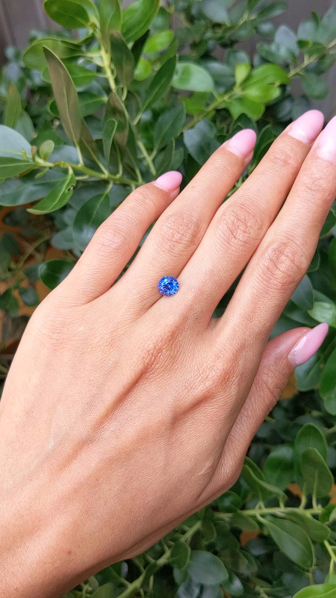 1.66 Ct. Blue Sapphire from Ceylon (Sri Lanka) Size Video