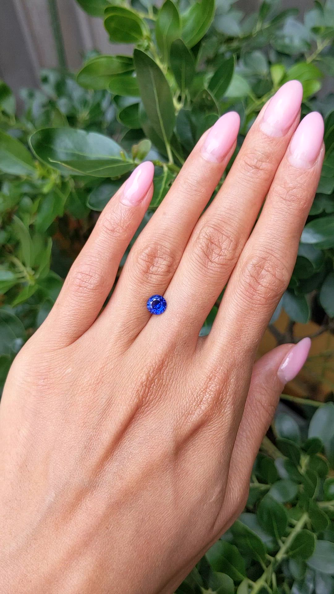 1.30 Ct. Blue Sapphire from Ceylon (Sri Lanka) Size Video