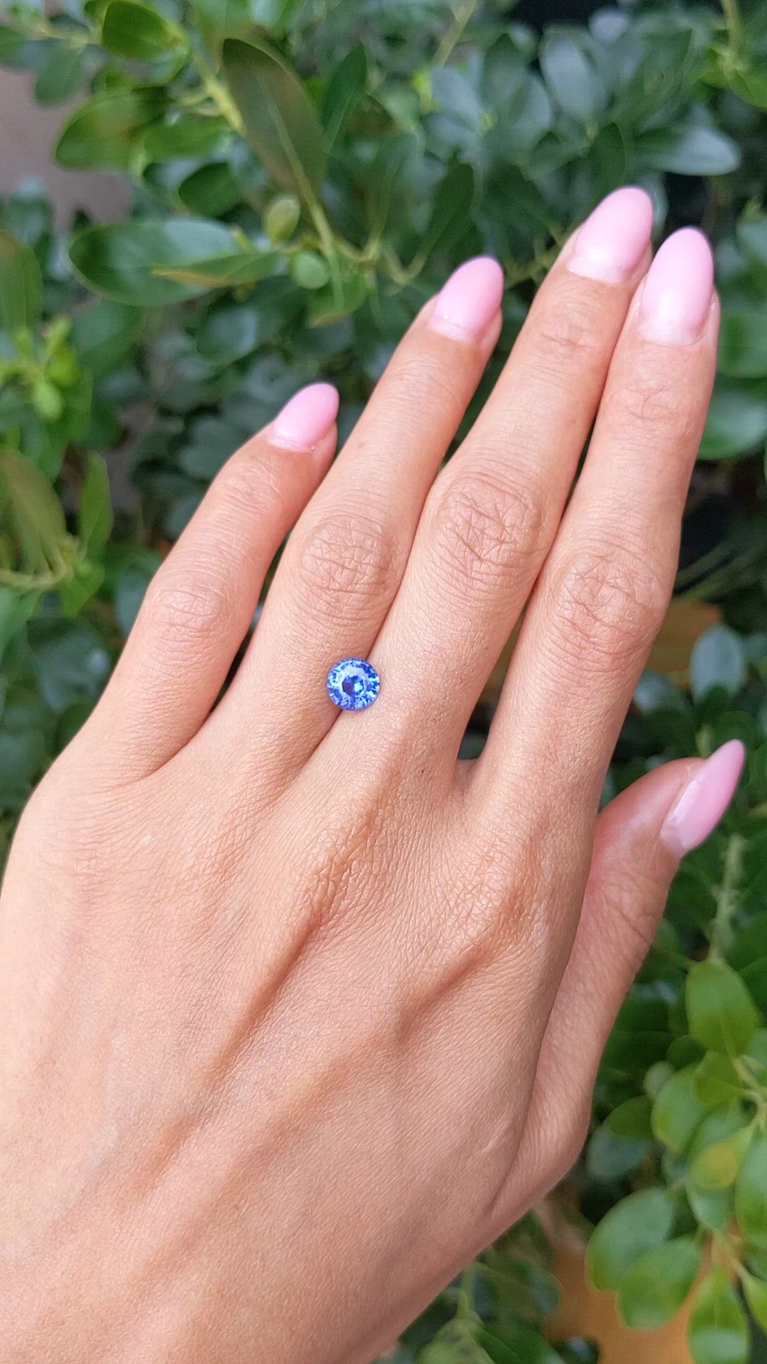 1.53 Ct. Blue Sapphire from Ceylon (Sri Lanka) Size Video