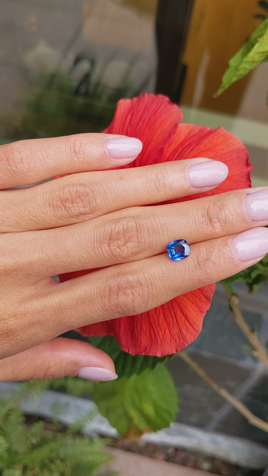 1.47 Ct. Blue Sapphire from Ceylon (Sri Lanka) Size Video