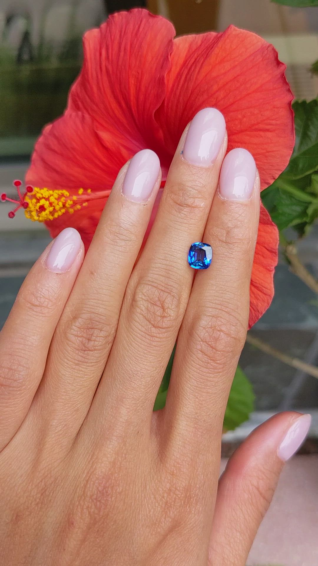 1.47 Ct. Blue Sapphire from Ceylon (Sri Lanka) Size Video