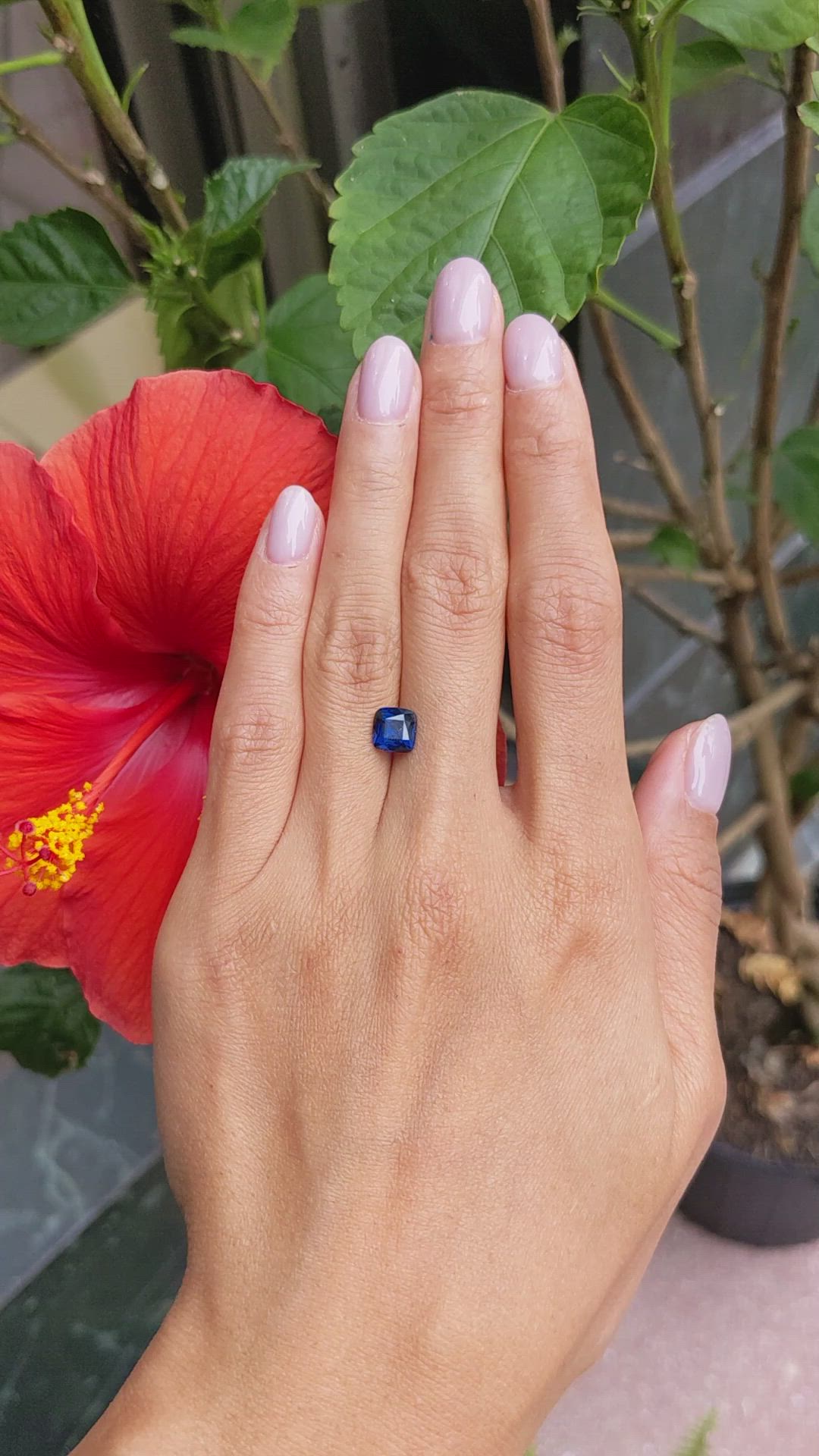 1.79 Ct. Blue Sapphire from Madagascar Size Video