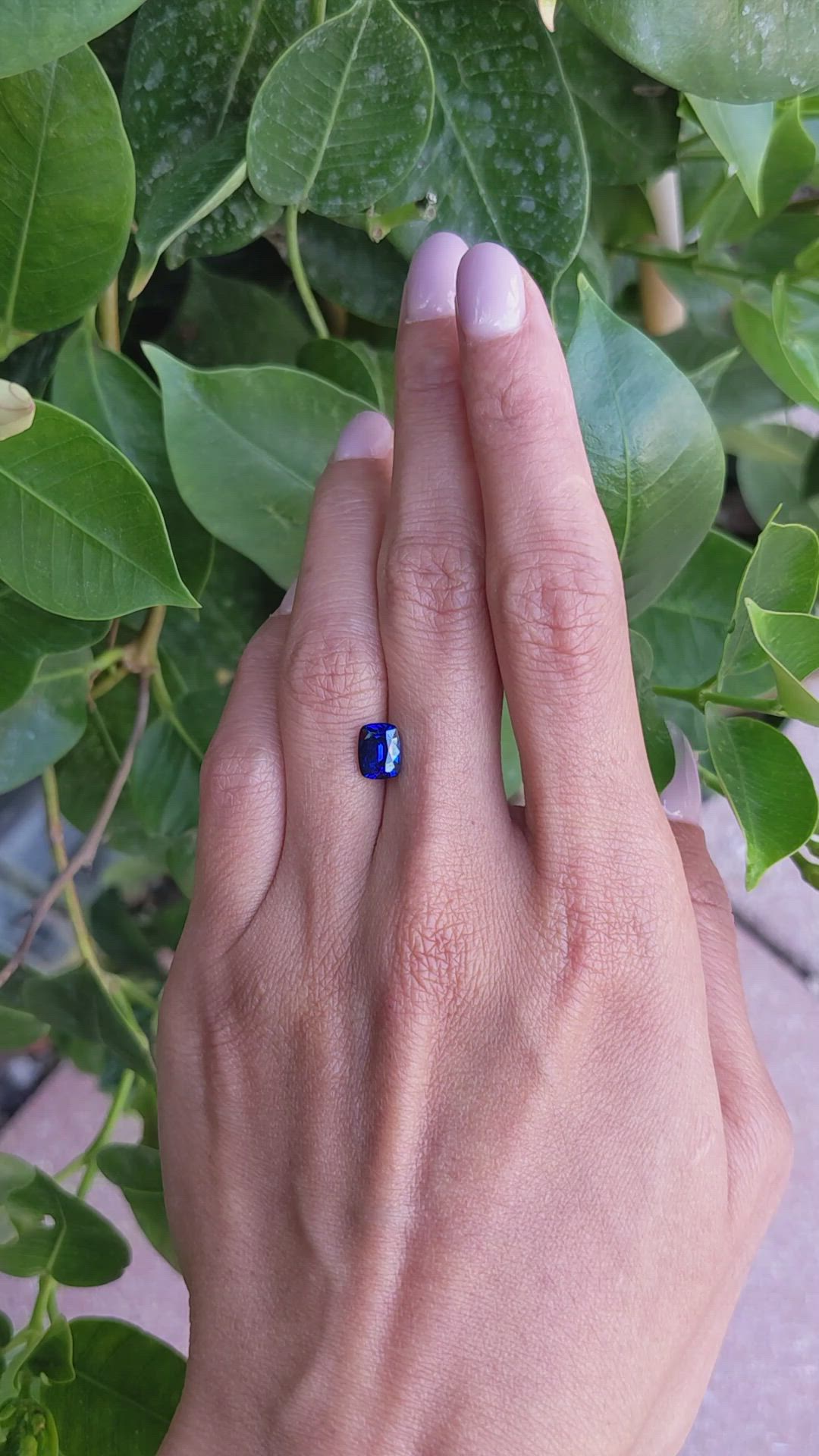 1.82 Ct. Blue Sapphire from Ceylon (Sri Lanka) Size Video
