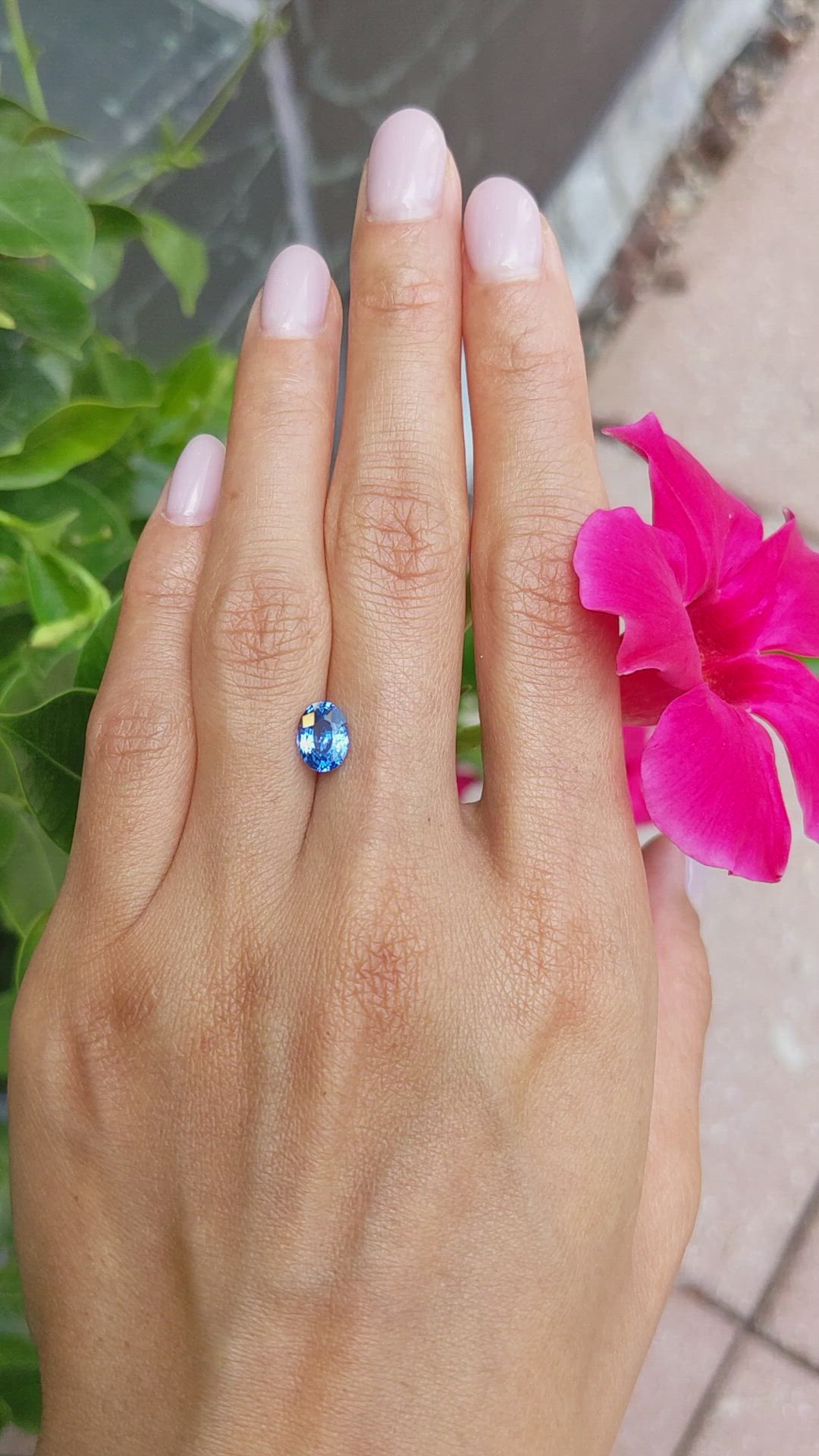 1.99 Ct. Blue Sapphire from Ceylon (Sri Lanka) Size Video
