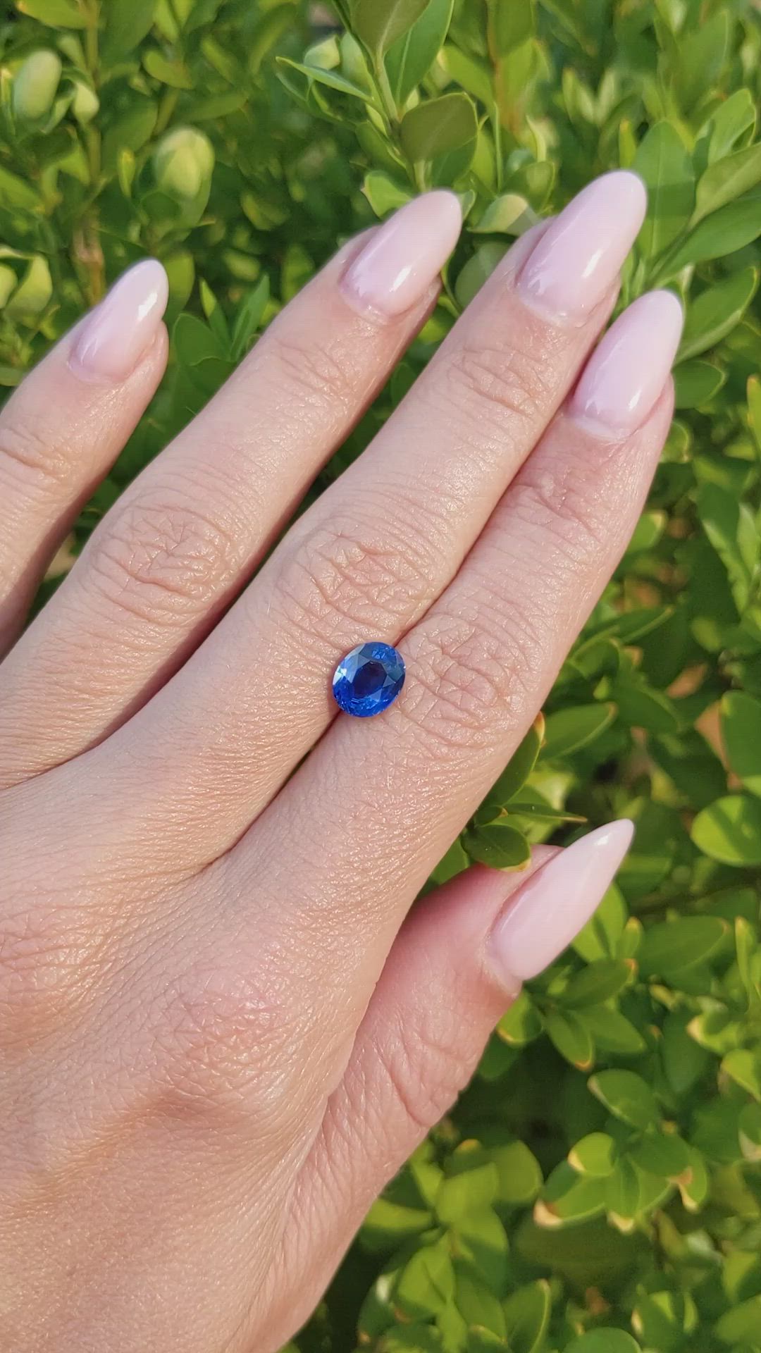 1.99 Ct. Blue Sapphire from Ceylon (Sri Lanka) Size Video