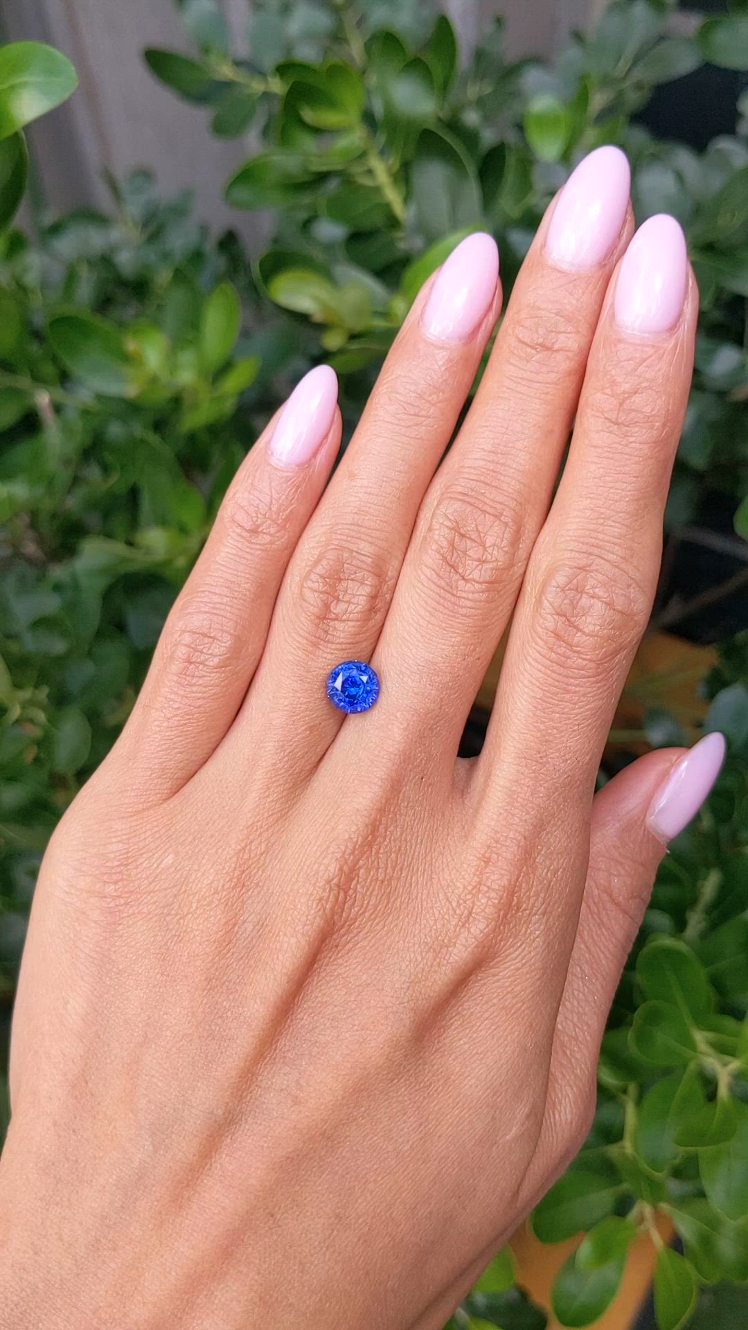 2.35 Ct. Blue Sapphire from Ceylon (Sri Lanka) Size Video