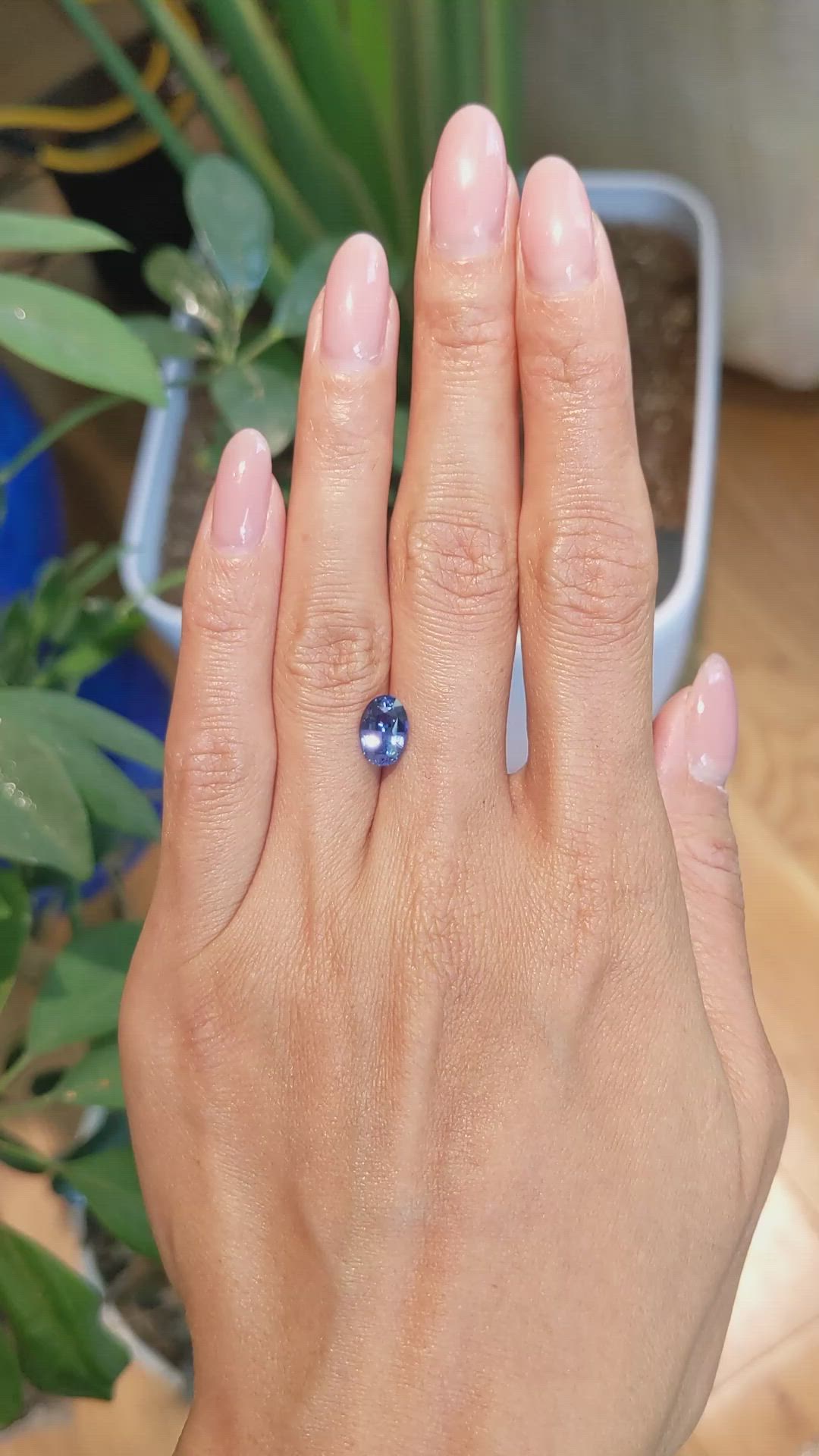2.20 Ct. Blue Sapphire from Ceylon (Sri Lanka) Size Video
