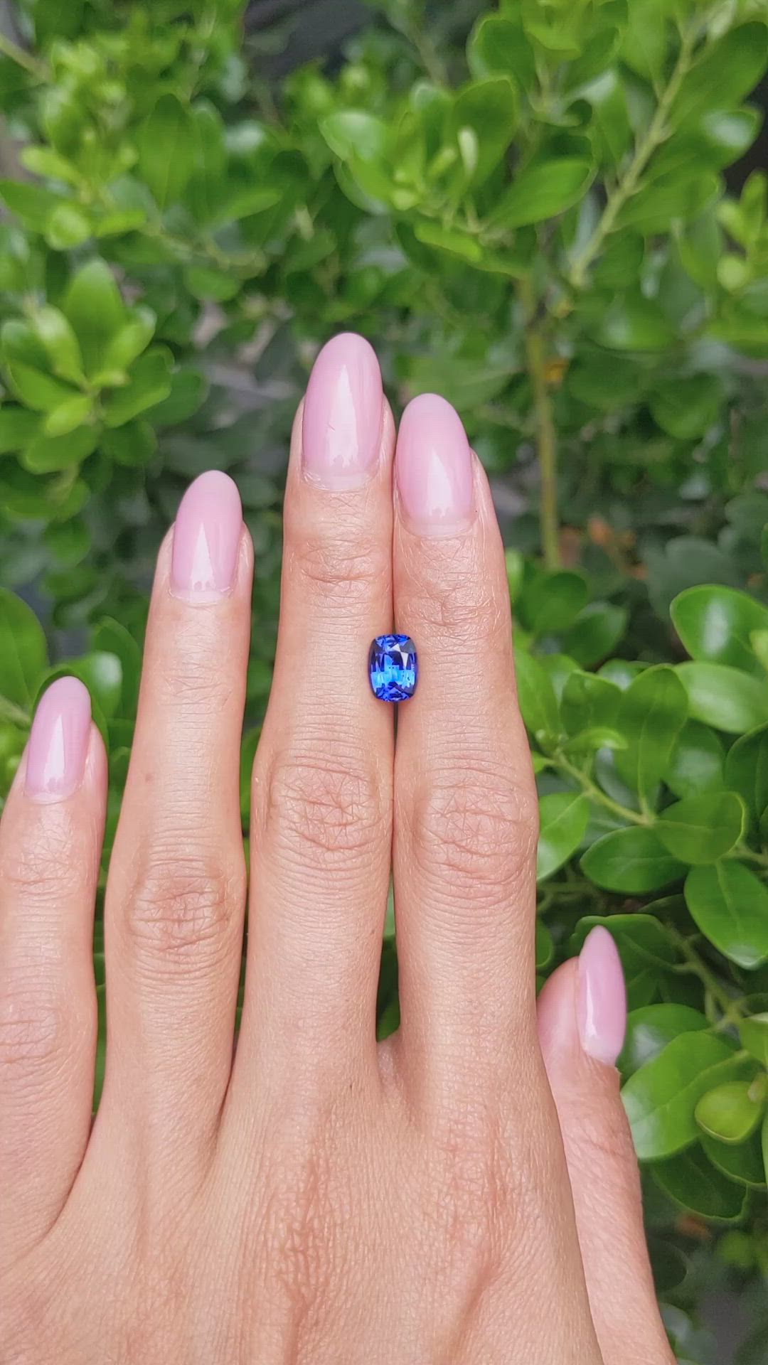1.67 Ct. Blue Sapphire from Ceylon (Sri Lanka) Size Video
