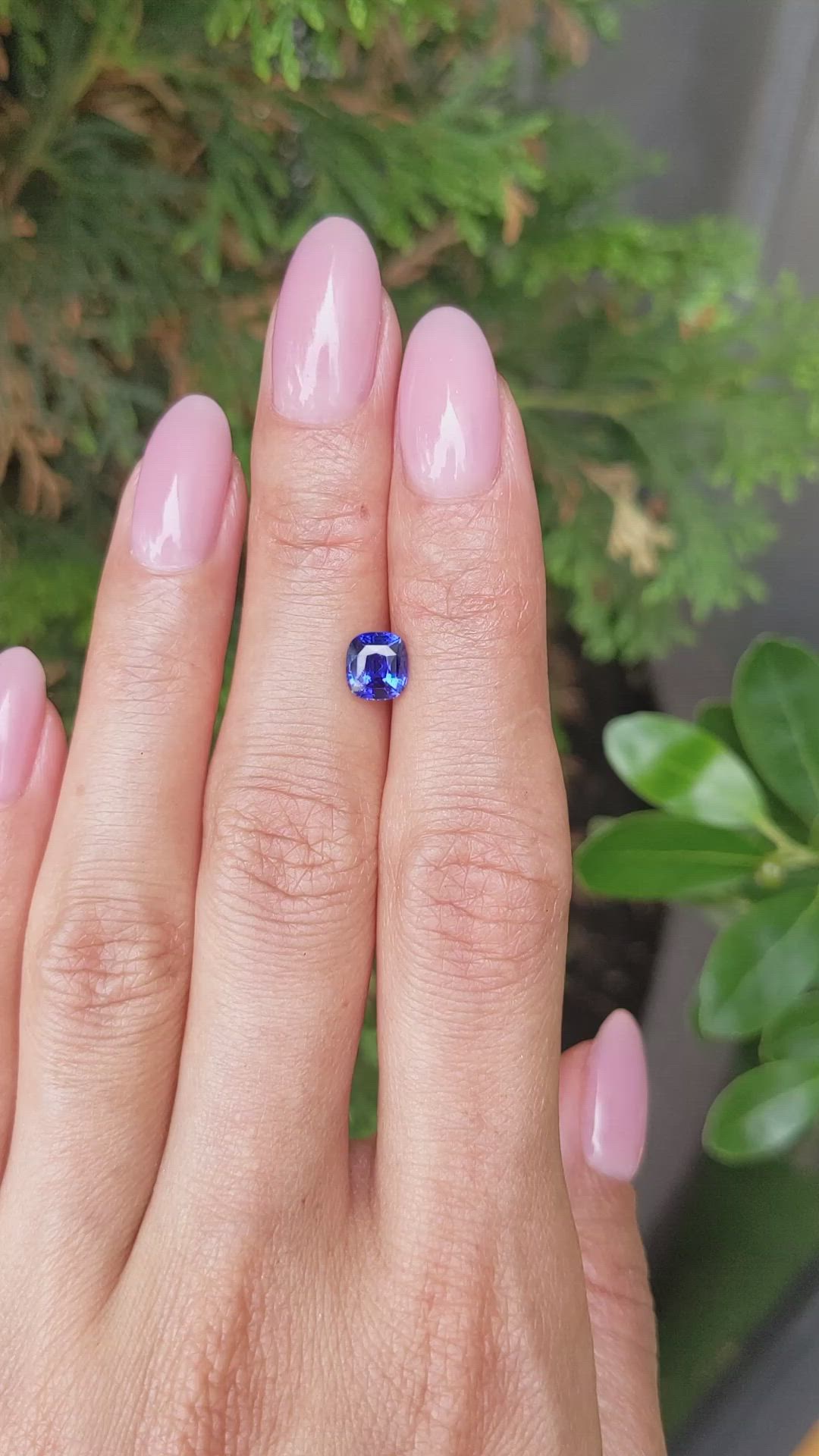 1.22 Ct. Blue Sapphire from Ceylon (Sri Lanka) Size Video