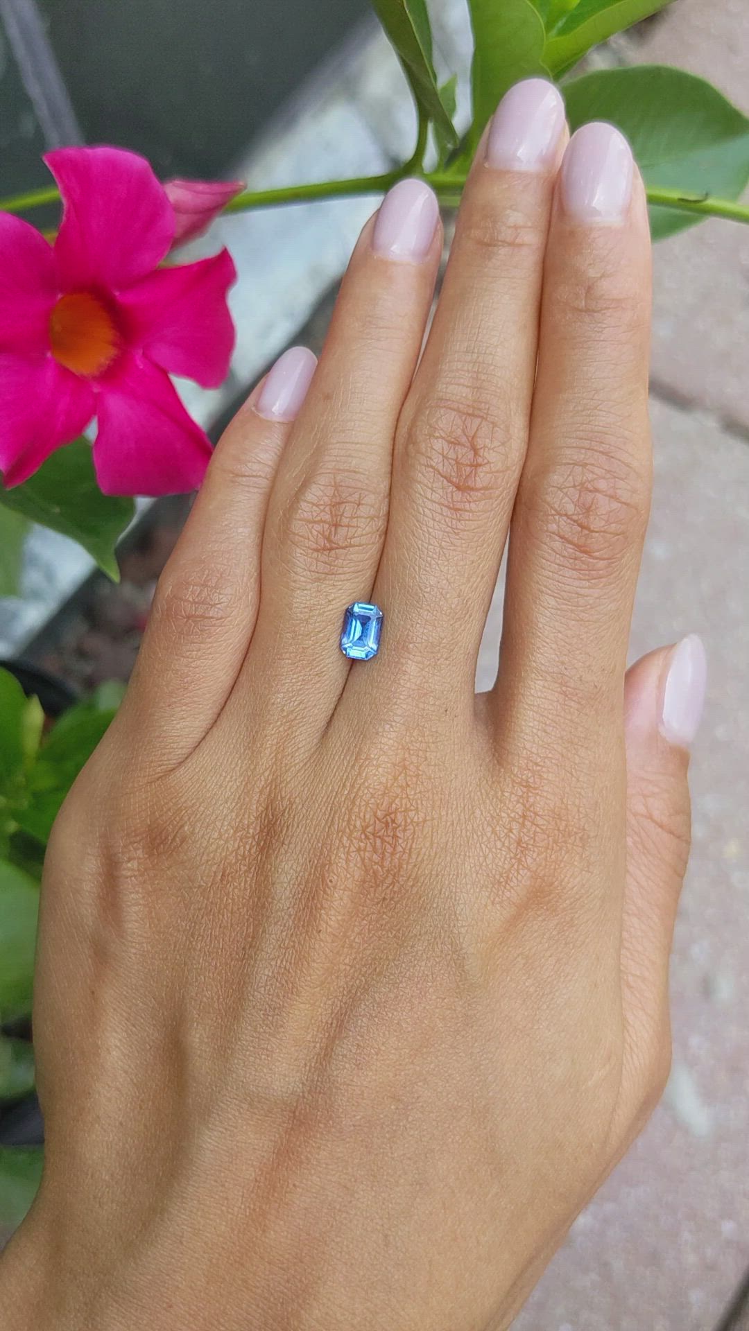 1.24 Ct. Blue Sapphire from Ceylon (Sri Lanka) Size Video