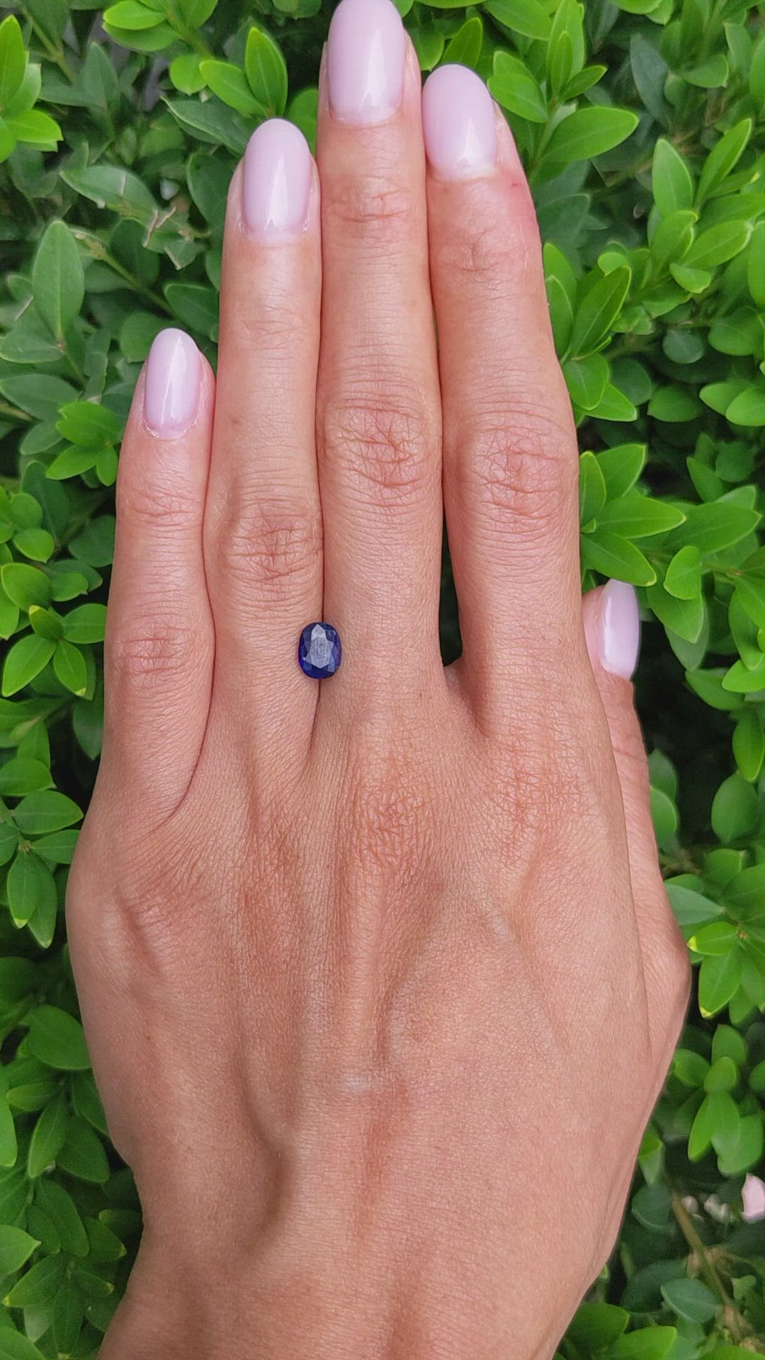 1.40 Ct. Blue Sapphire from Ceylon (Sri Lanka) Size Video