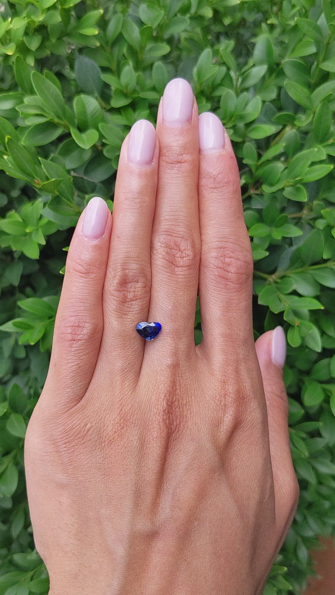 1.56 Ct. Blue Sapphire from Ceylon (Sri Lanka) Size Video